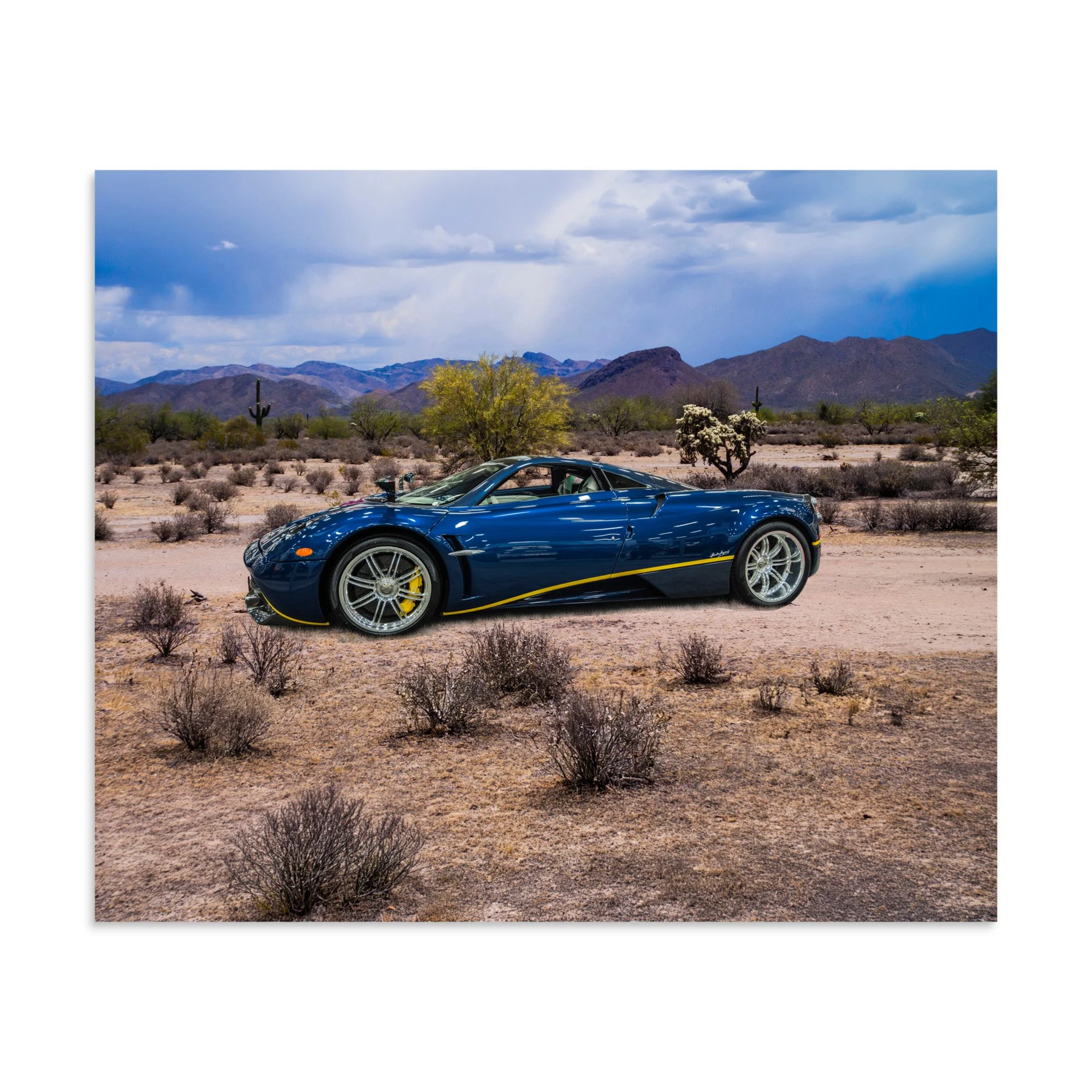 premium-luster-photo-paper-poster-(in)-20x24-front-6a5e69a8ca75e.jpg