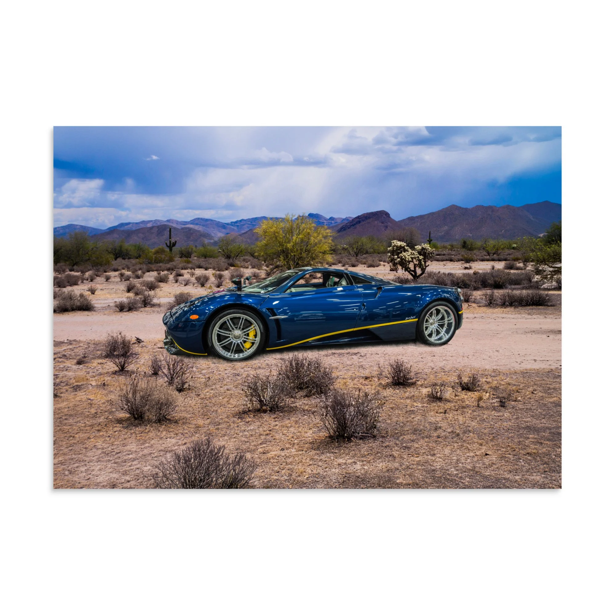 premium-luster-photo-paper-poster-(in)-20x28-front-6a5e69a8cb2f4.jpg