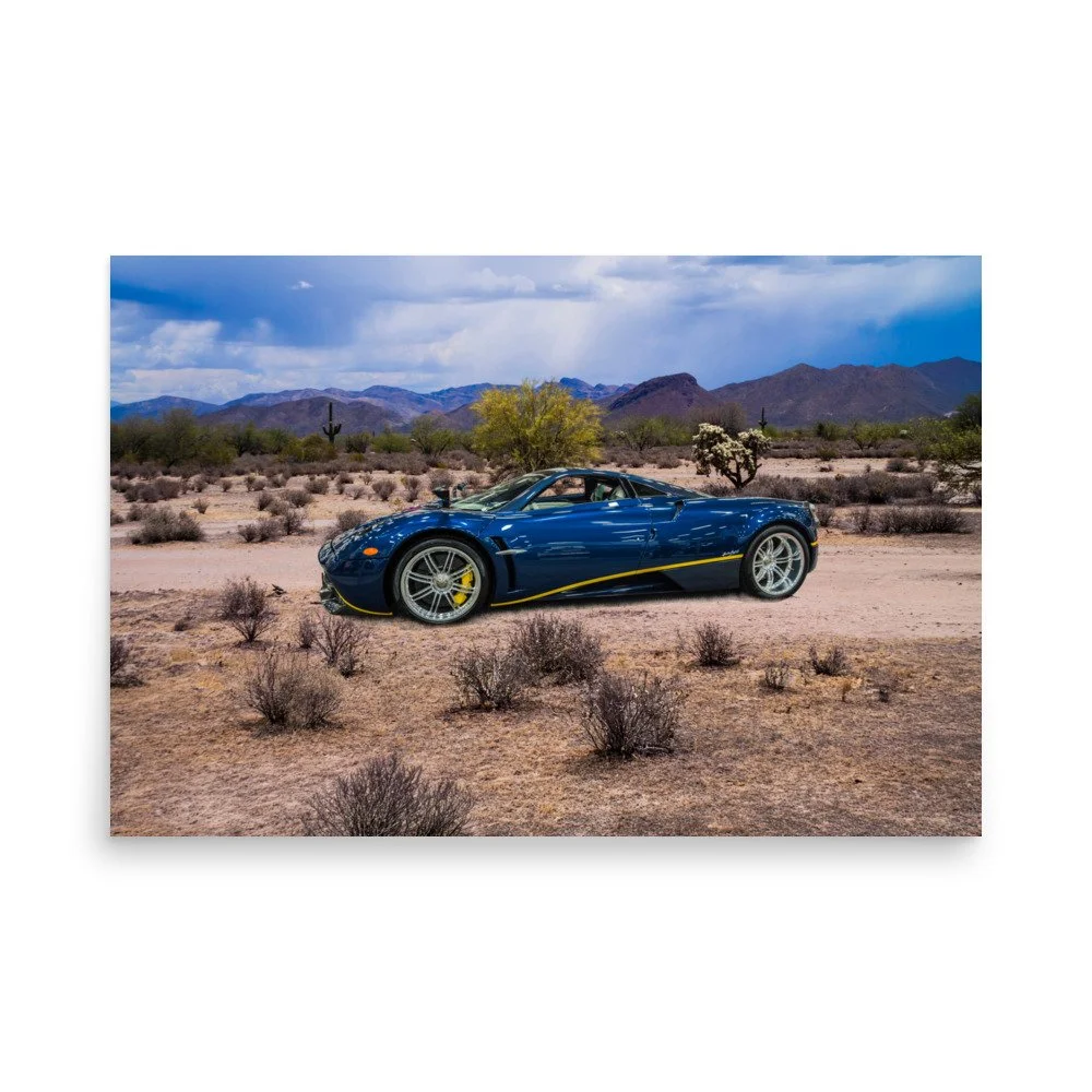 premium-luster-photo-paper-poster-(in)-24x36-front-6a5e69a8b9a28.jpg