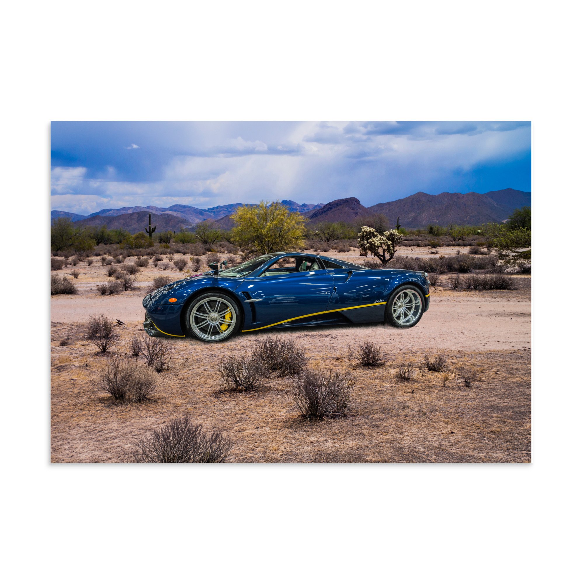 premium-luster-photo-paper-poster-(in)-8.27x11.69-front-6a5e69a8c9018.jpg
