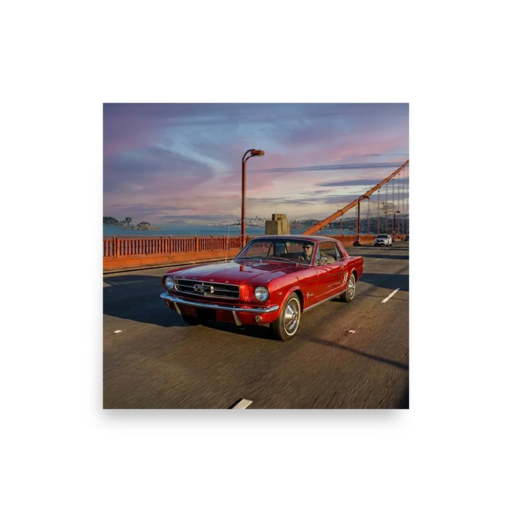 enhanced-matte-paper-poster-(in)-front-6a719adbd589a.jpg