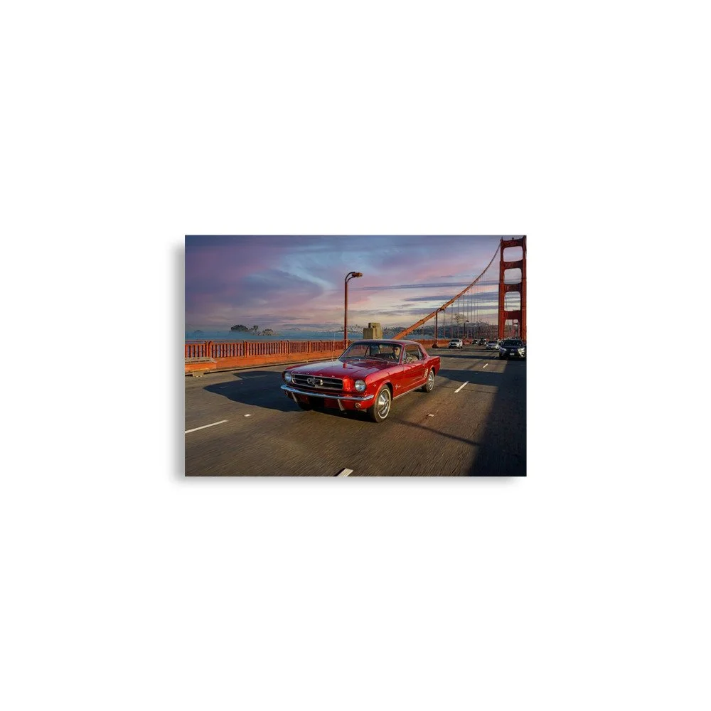 enhanced-matte-paper-poster-(in)-a2-(16.5x23.3)-front-6a719adbd8289.jpg
