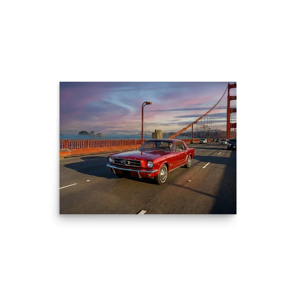 enhanced-matte-paper-poster-(in)-12x16-front-6a719adbd5d70.jpg