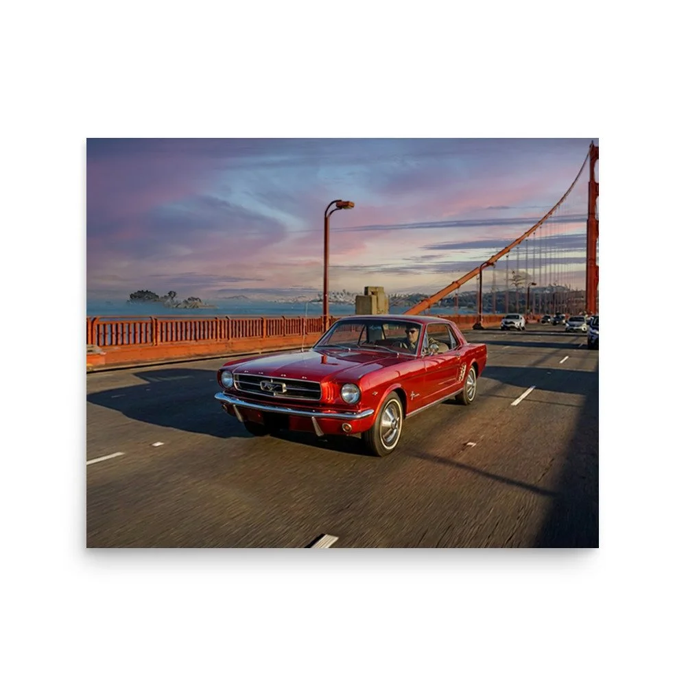 enhanced-matte-paper-poster-(in)-16x20-front-6a719adbd662f.jpg