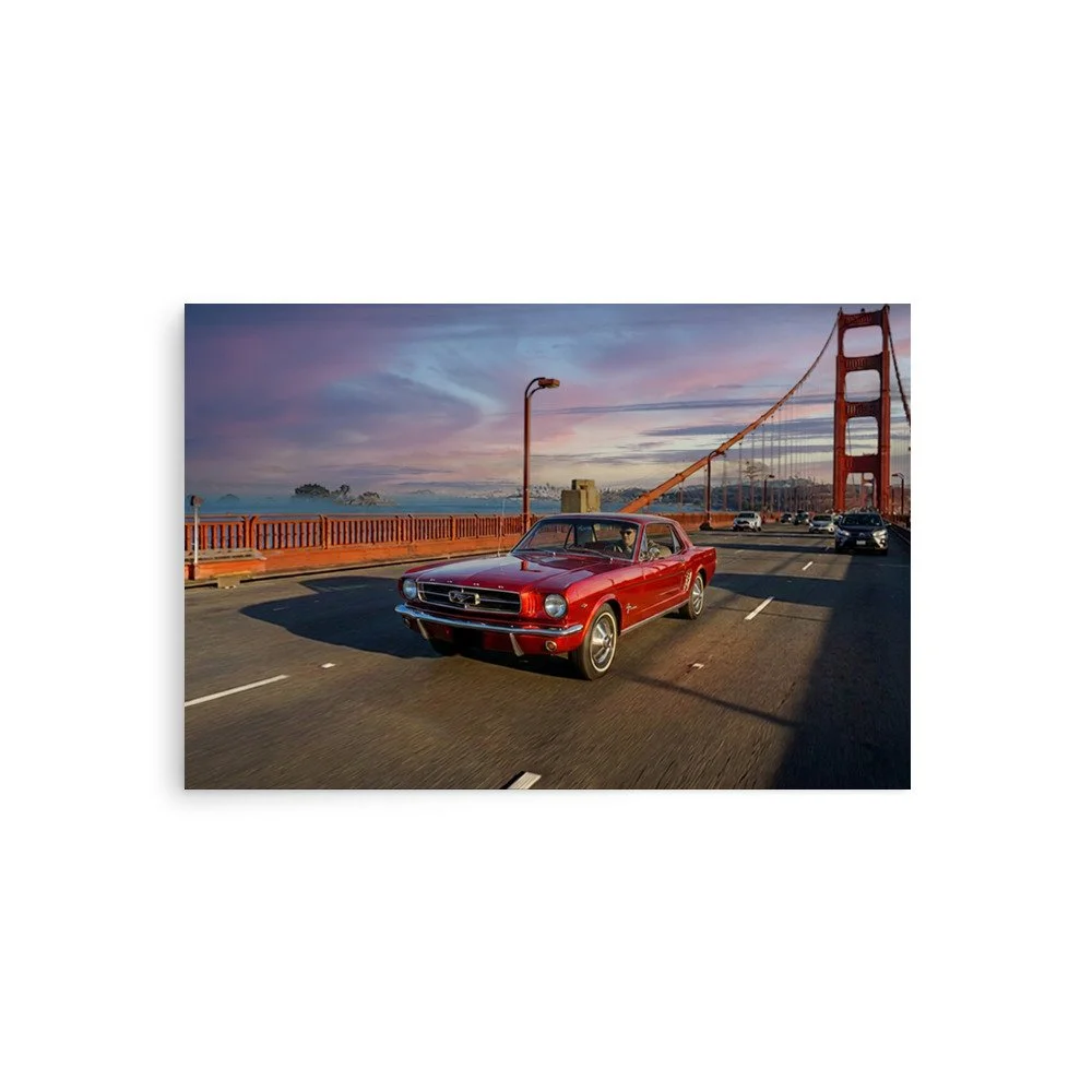 enhanced-matte-paper-poster-(in)-20x30-front-6a719adbd79ce.jpg