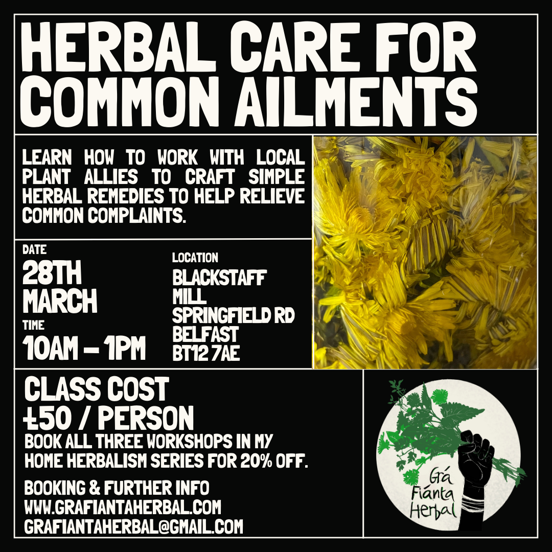 Home Herbalism Workshop Series: Herbal Care for Common Ailments