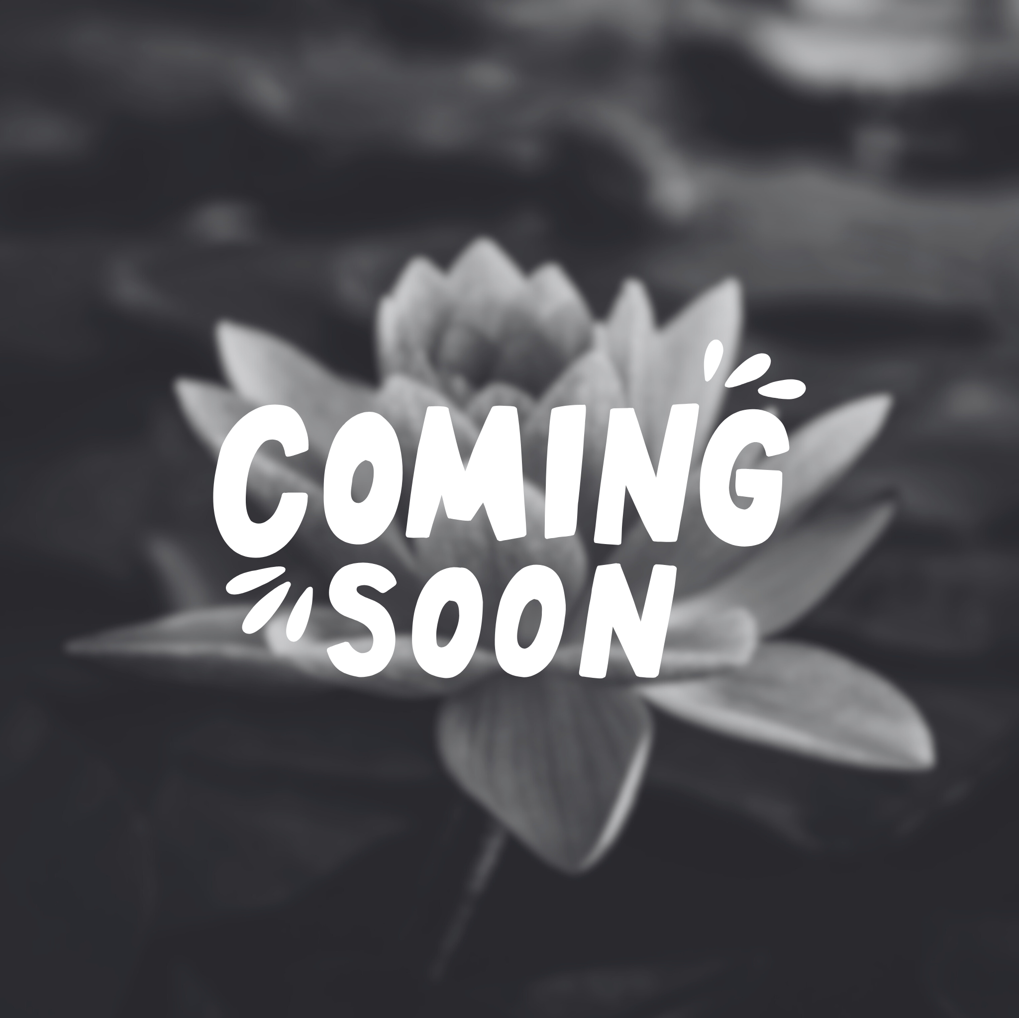 Heartful Legacy Courses