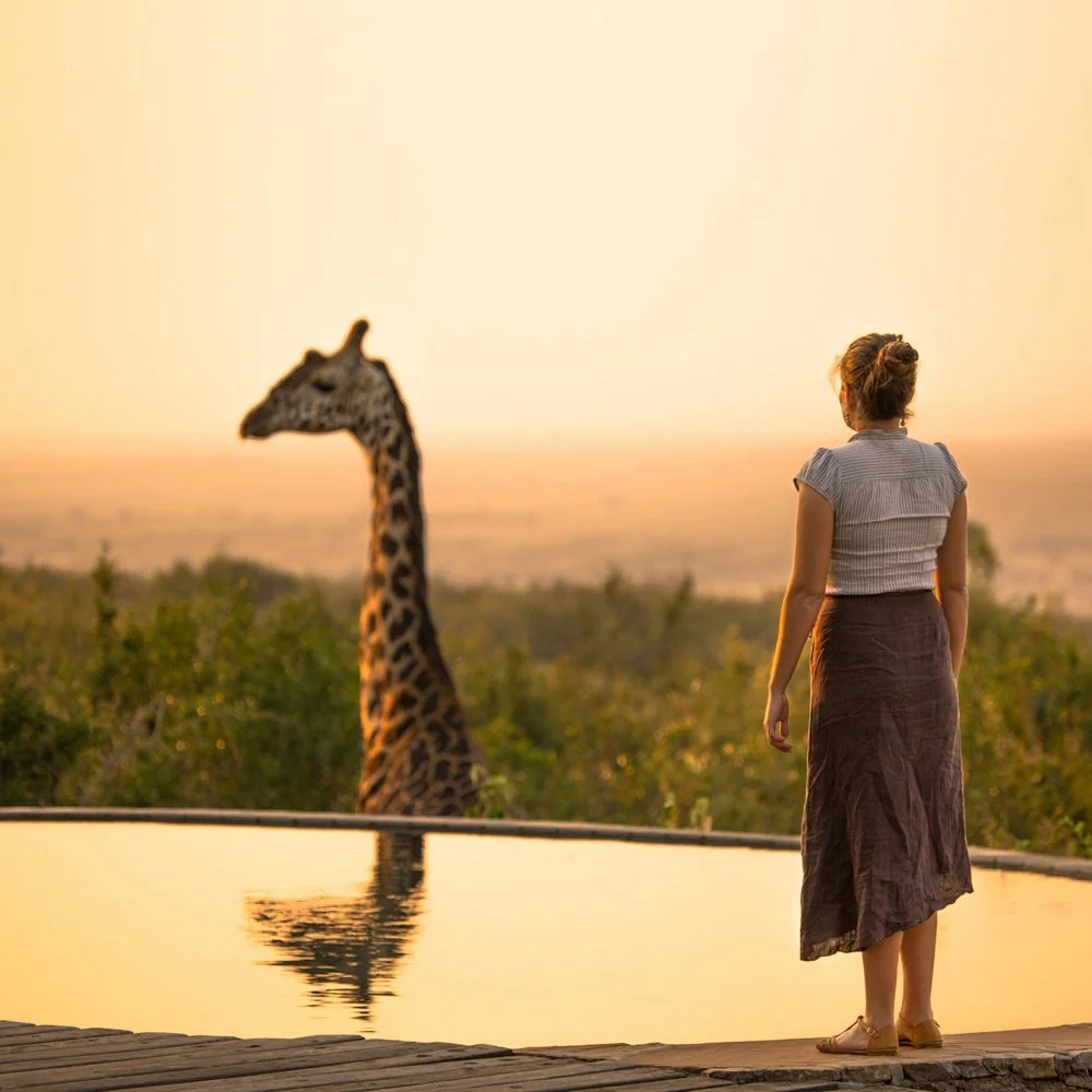 A woman standing near a water feature, gazing at a giraffe in the distance during sunset with a backdrop of trees and an open landscape.