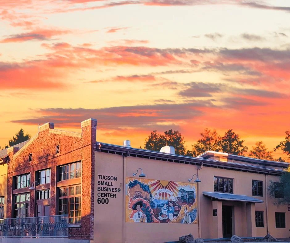 Close-up of dried palm tree fronds in warm sunlight, with shadows cast on the wall behind.
