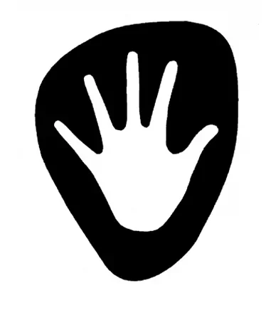 Close-up of dried palm fronds with sunlight casting shadows.