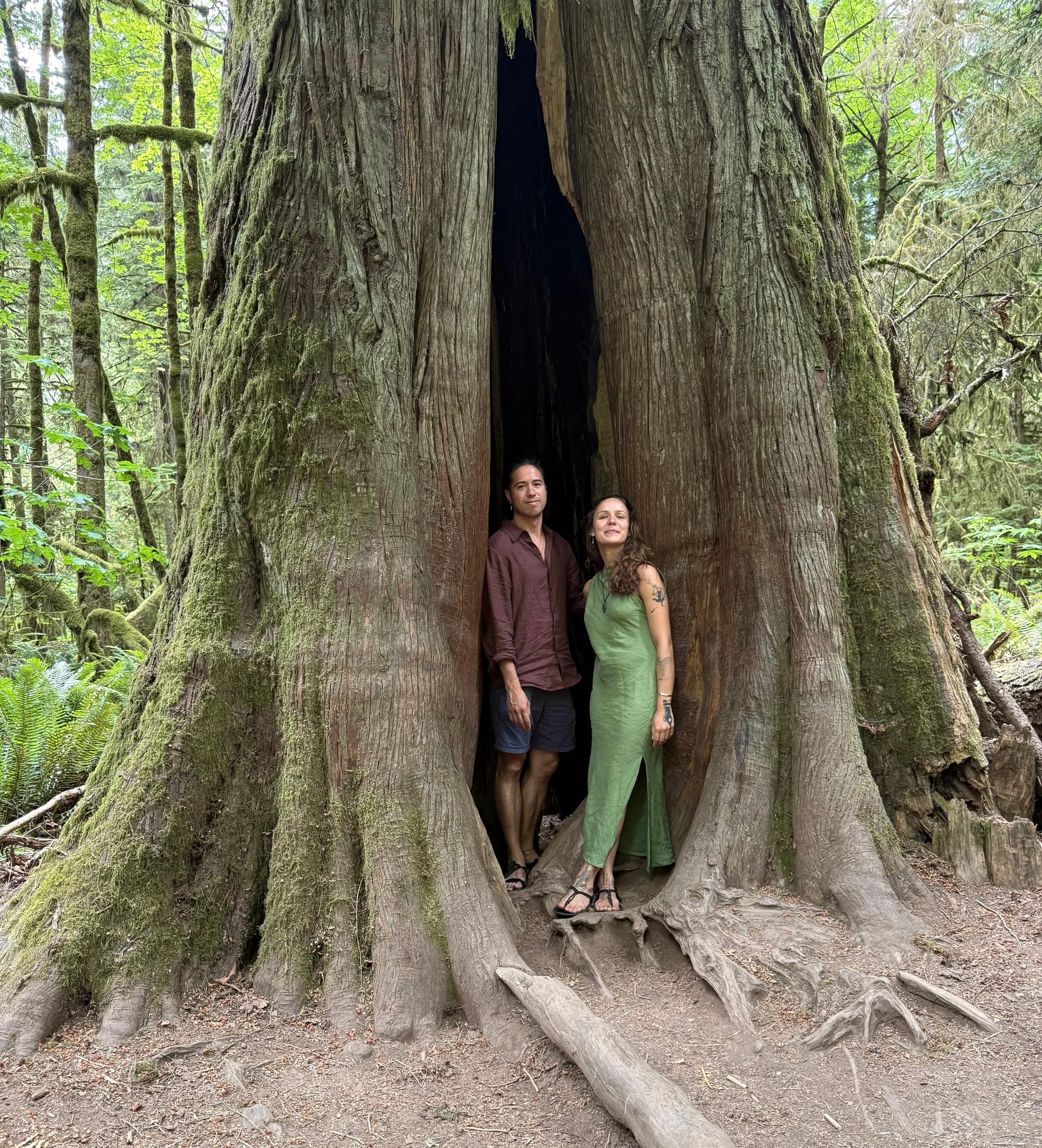 Two people stand inside a hollowed out giant redwood tree in a forest, with dense greenery and moss-covered trees in the background.