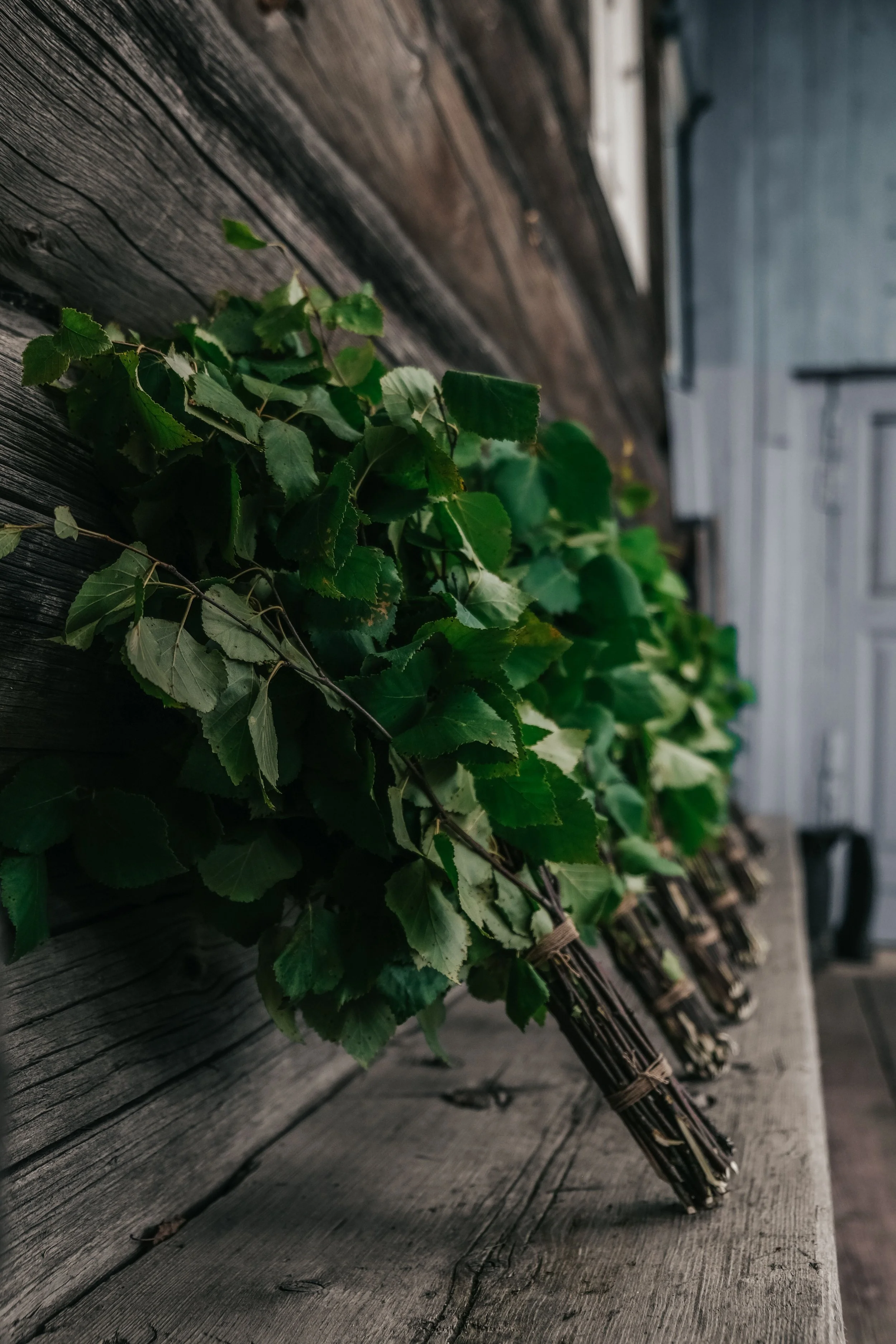 A bundle of green leaves tied to a holdy stick on a wooden surface with a weathered grey wood background.