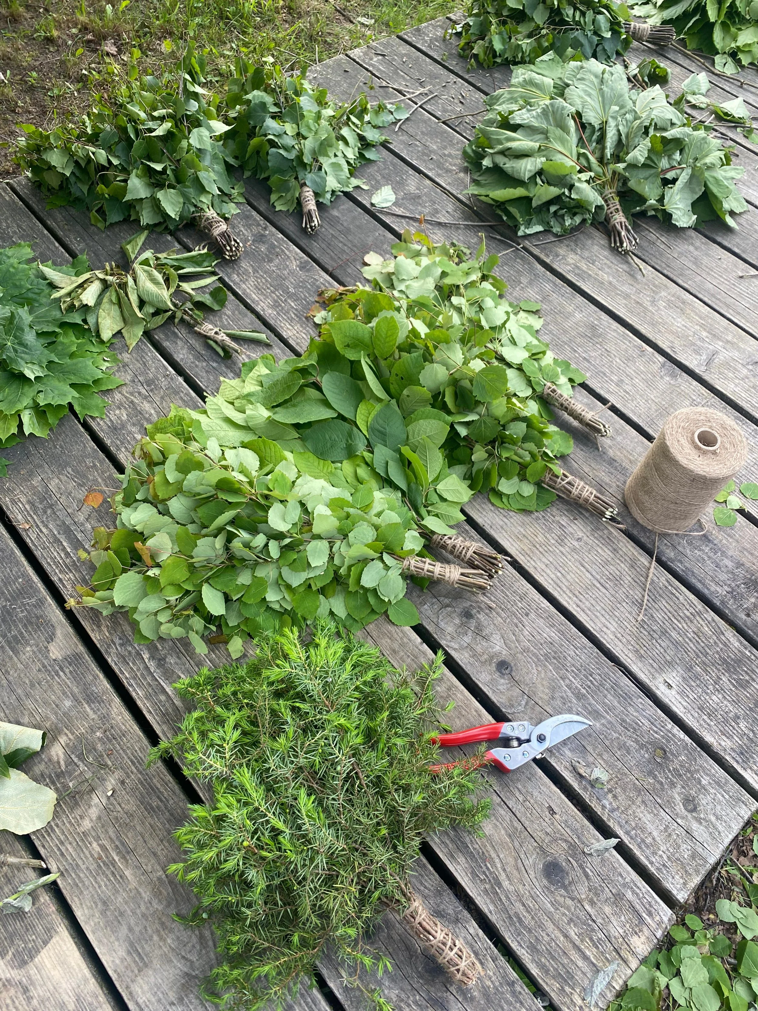 Four bundles of freshly gathered herbs on a wooden outdoor table, with pruning shears and a roll of twine nearby.