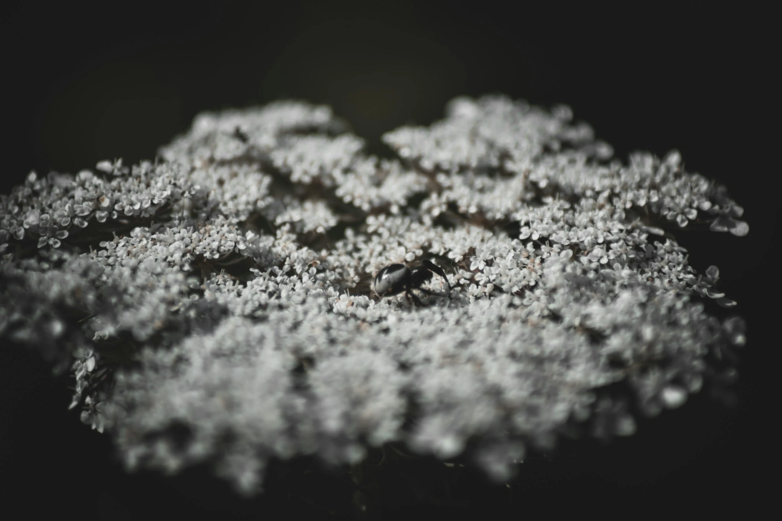 Titanium grip by Russia, China threatens Western aerospace supply chains