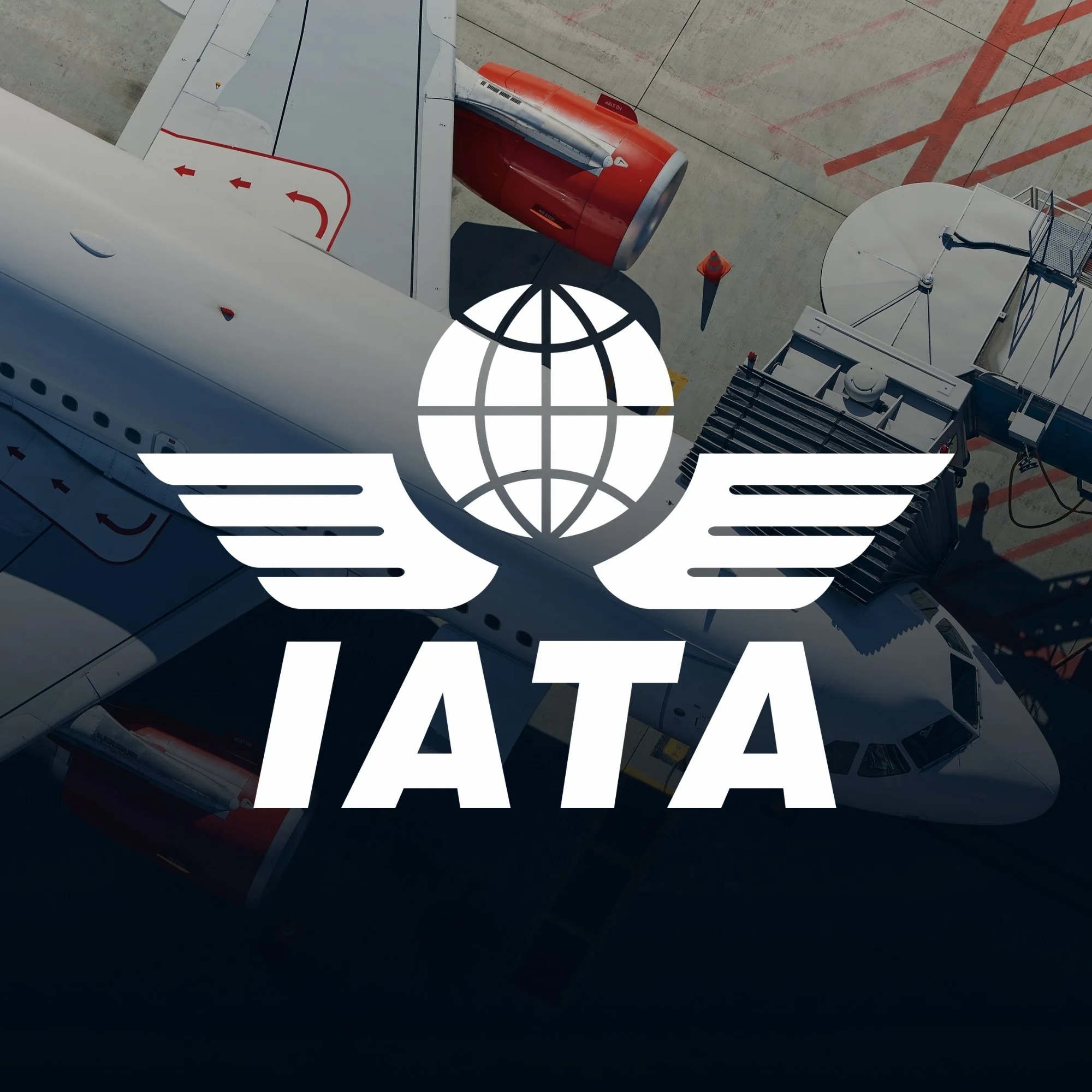 International Air Transport Association (IATA)