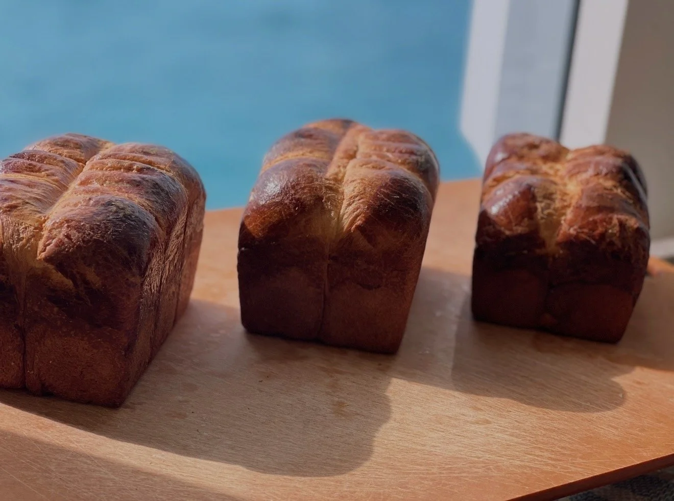 classic Beef fat Brioche 