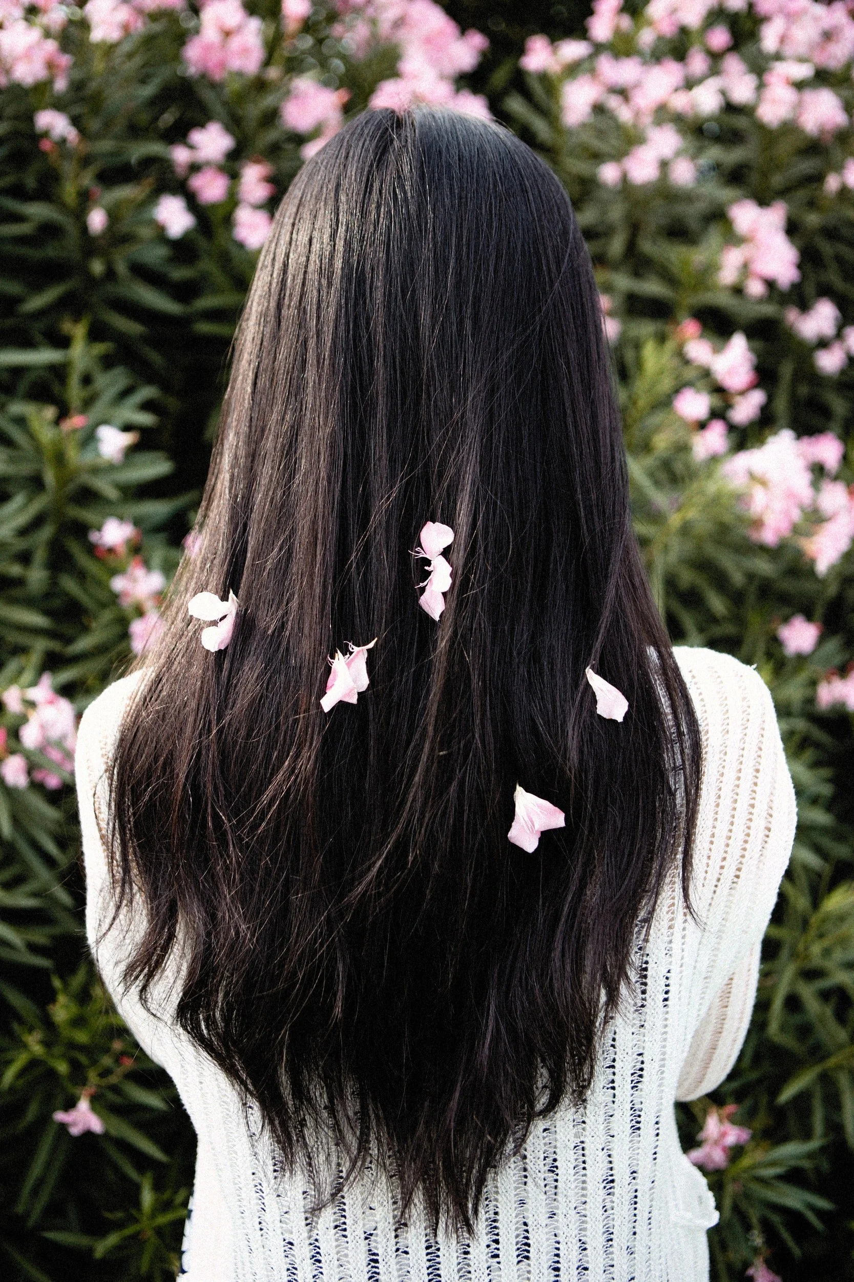 Jump into Spring with a New Look!