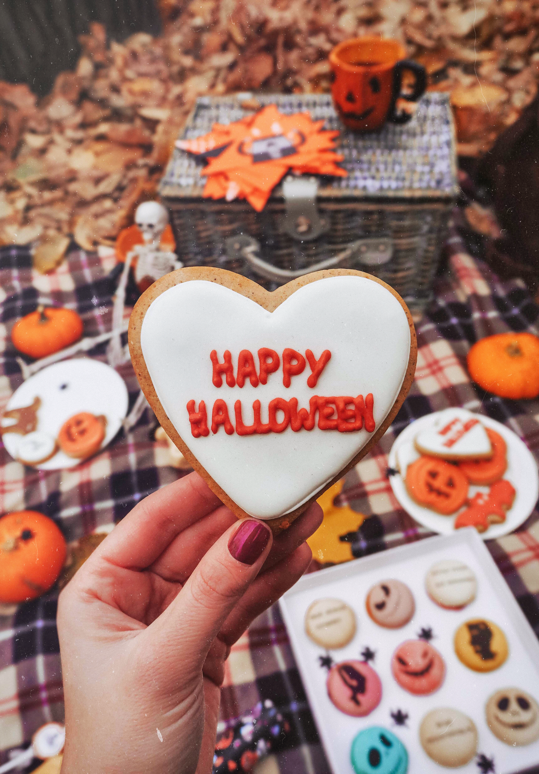 Halloween Fun is Happening 