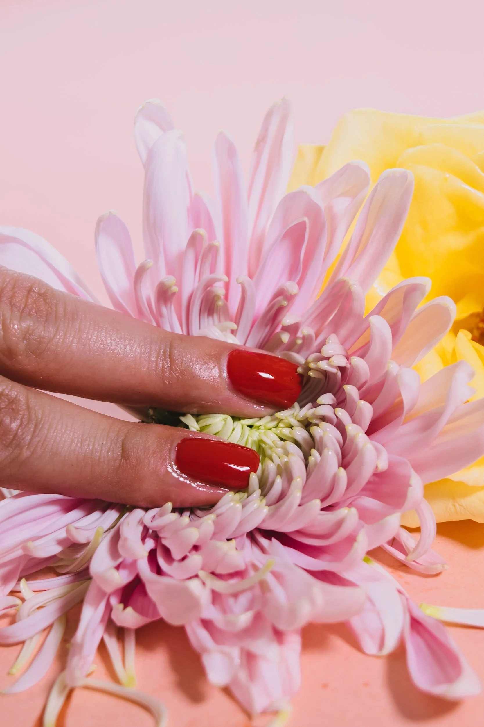 Openings at Allure Spa 