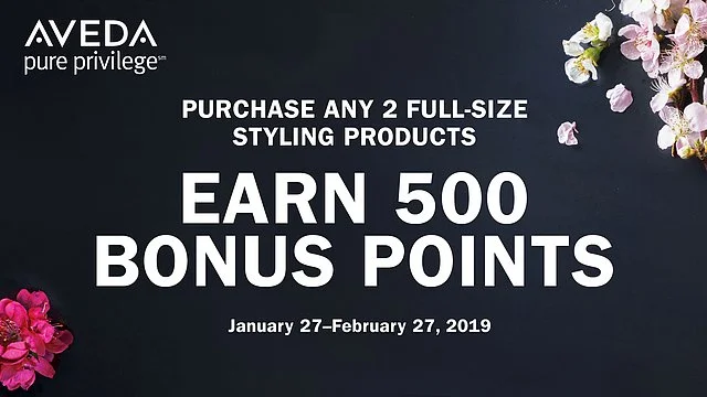 Earn 500 Bonus Points with Purchase of 2 Styling Products