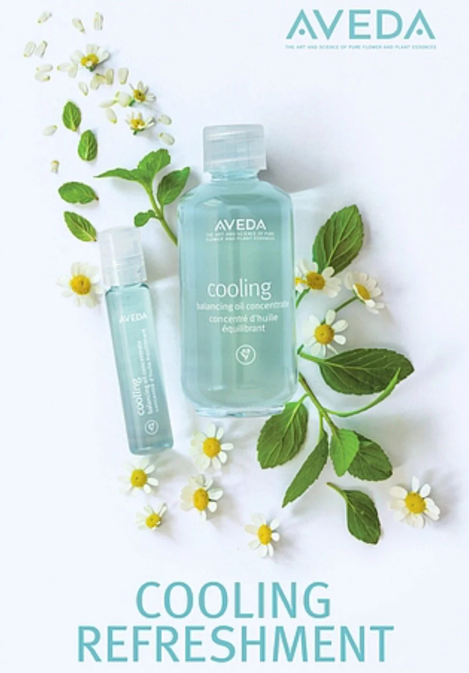 New Cooling Balancing Oil Awakens the Mind and Body