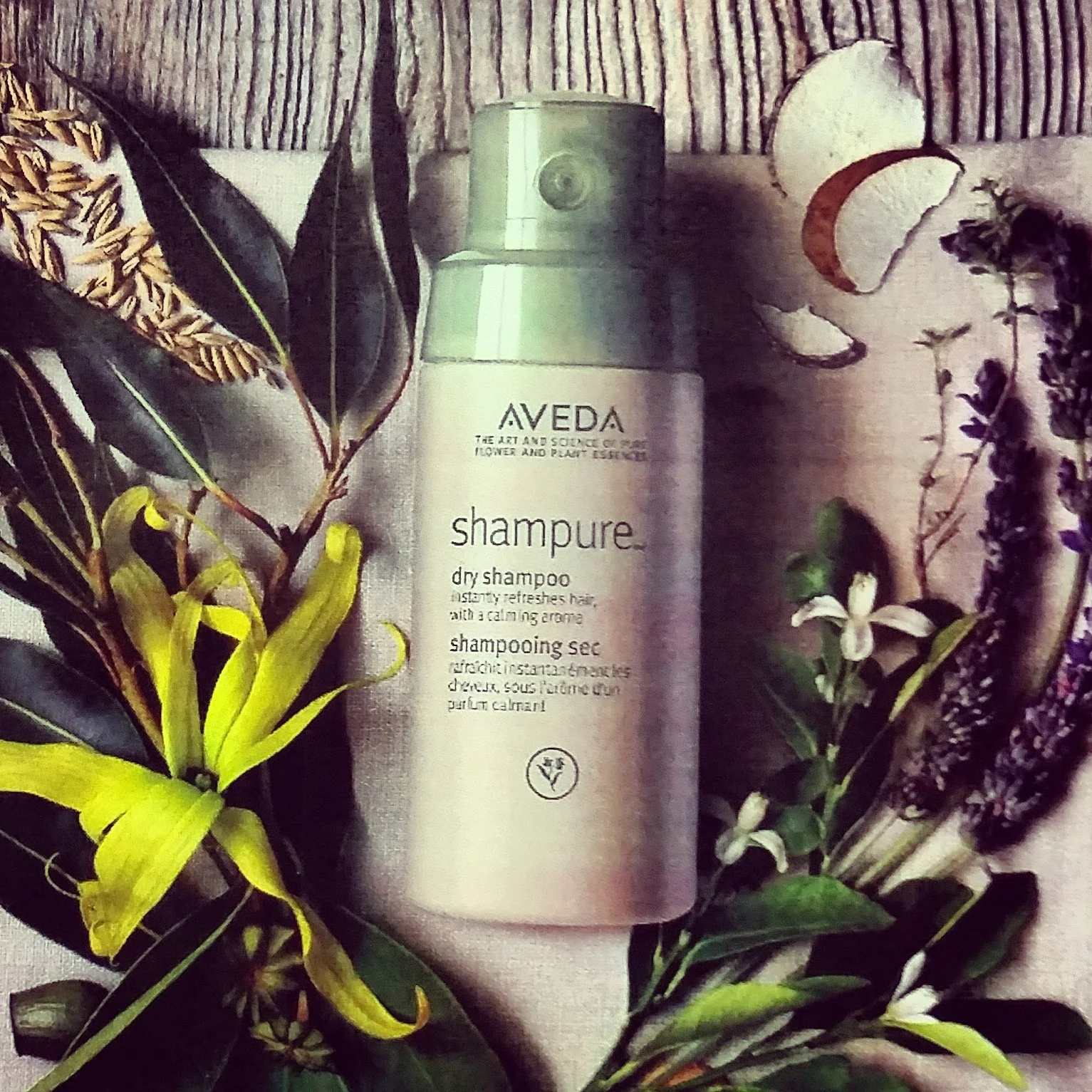 Try Shampure Dry Shampoo and Enter to Win