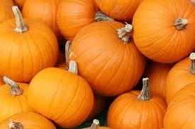 October Specials!