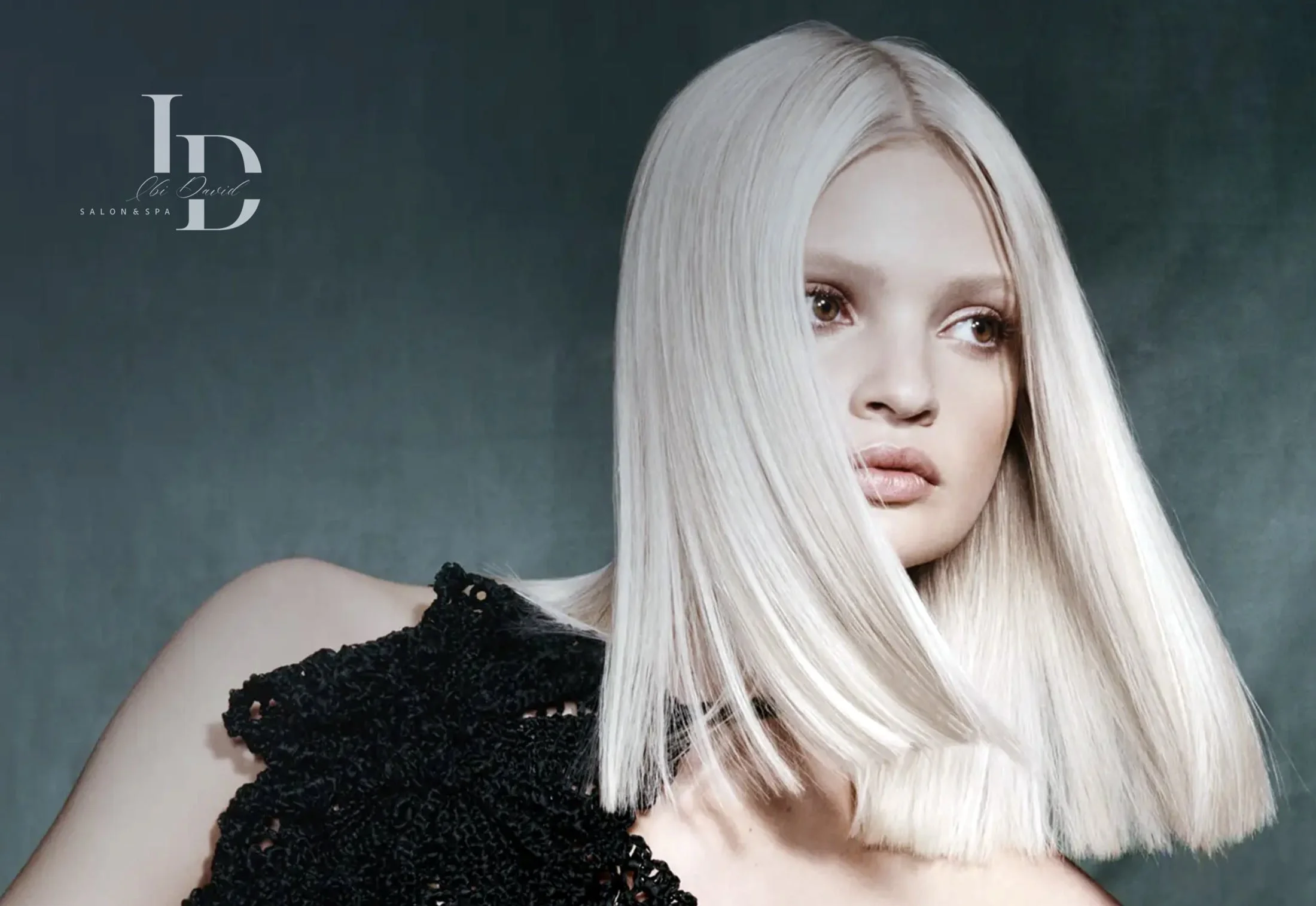 Launch Your Career with Ibi David Salon &amp; Spa in Westlake, Ohio