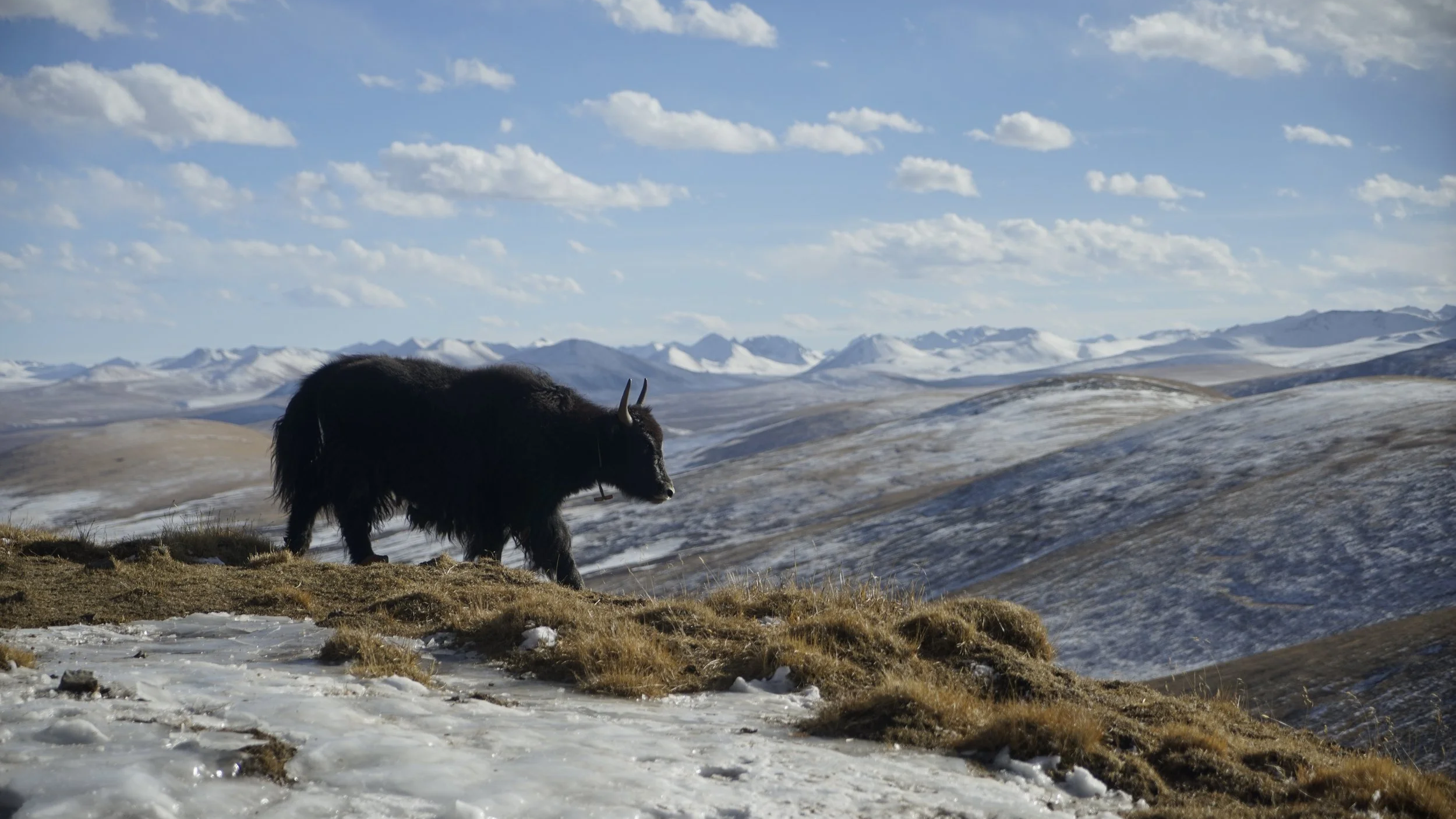 Winter range of Sichuan herders in Ja'thang