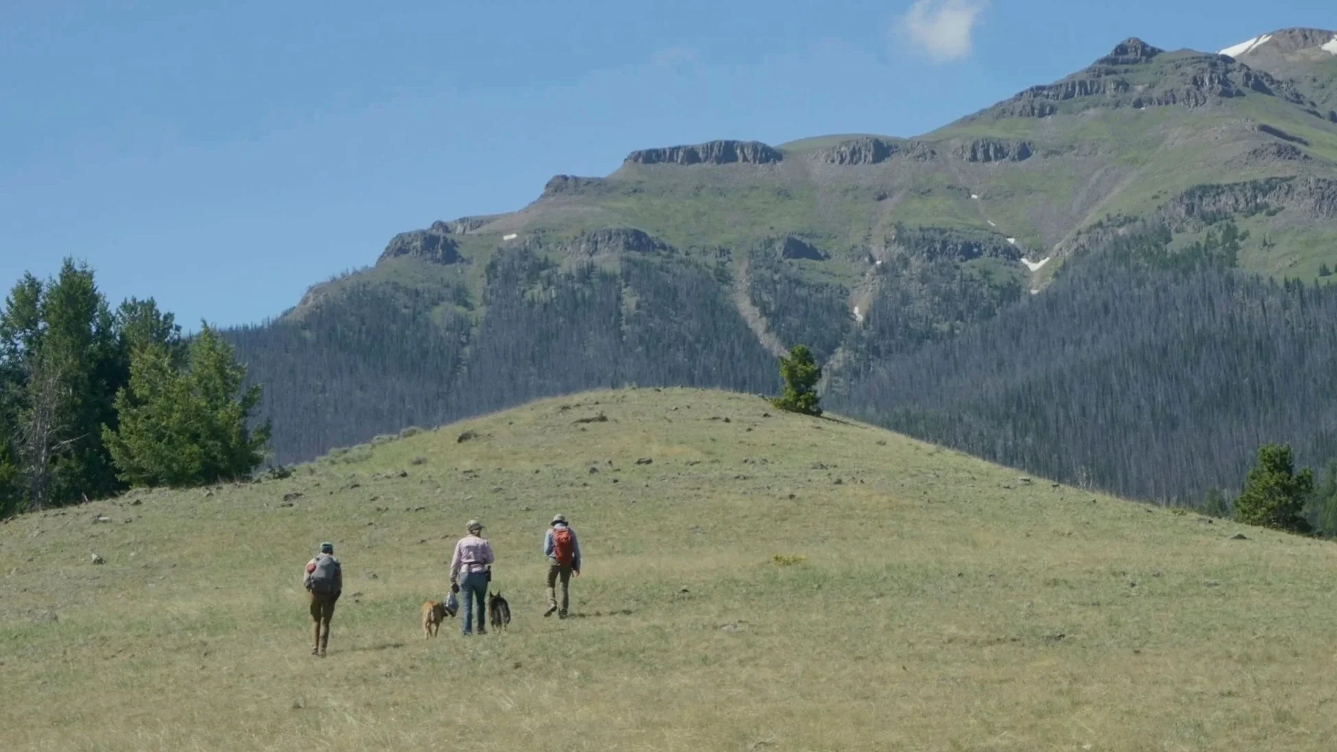 A hike at eastern Greater Yellowstone Ecosystem