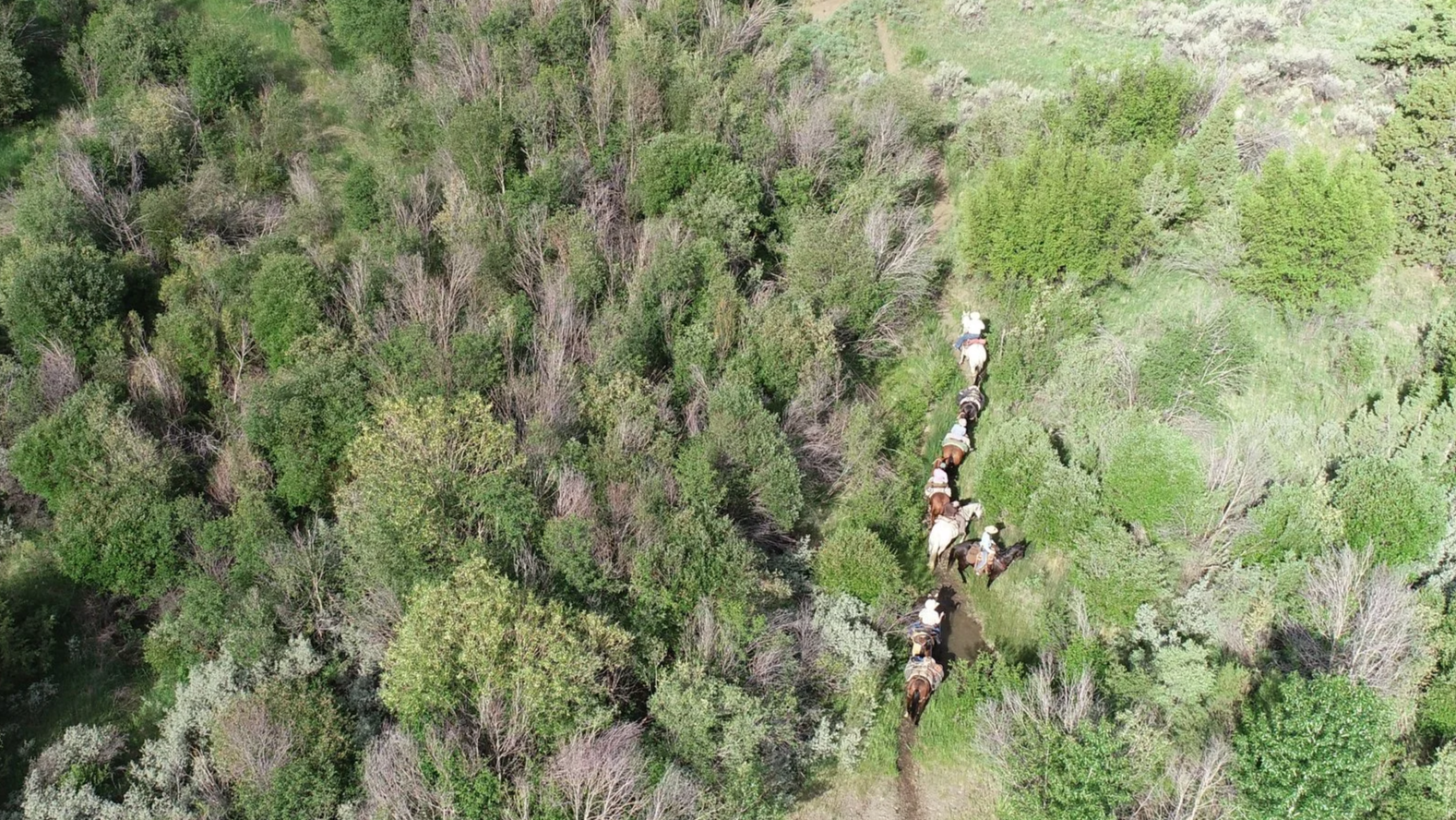 Eastern GYE on horseback
