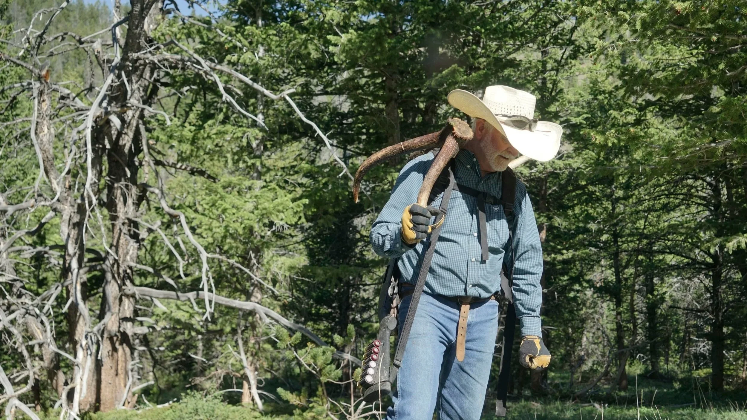 Shed hunting (or antler hunting) is a popular recreational activity at the GYE.