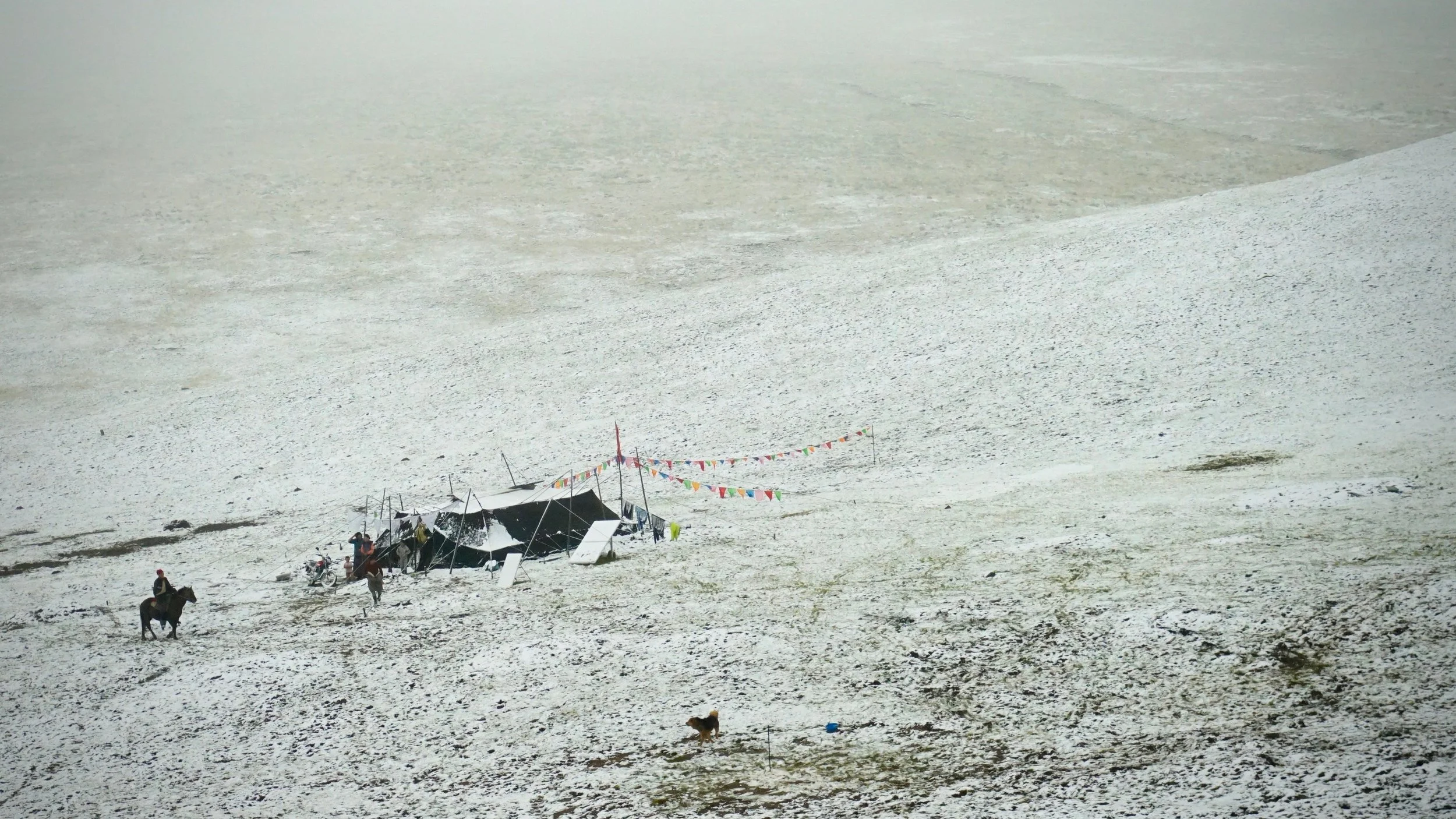 Tibetan herders used to live in black tents made from yak wool. Nowadays these traditional tents are being replaced by synthetic fiber tents.