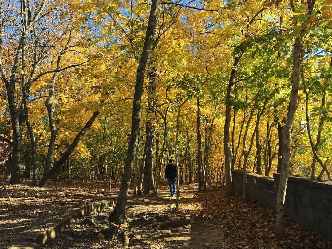 Reset & Rebalance Package