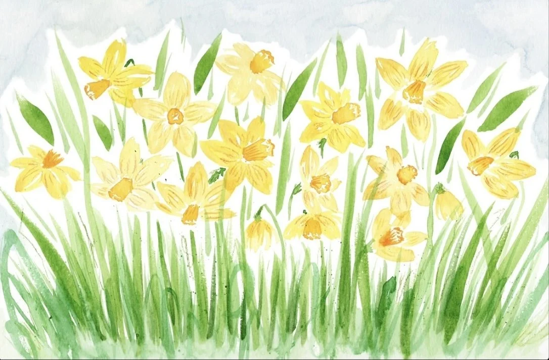 Daffodils