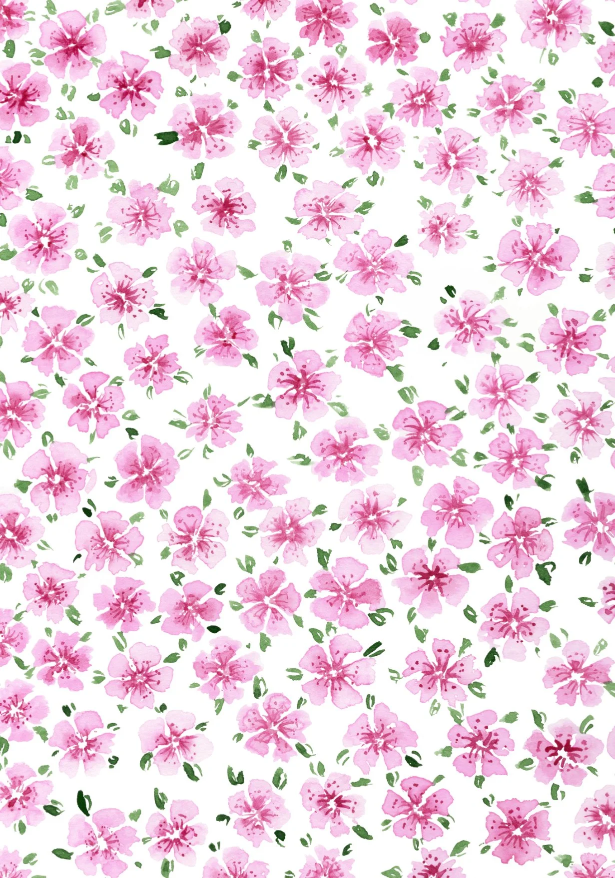 Japanese Sakura Flower Watercolour Print