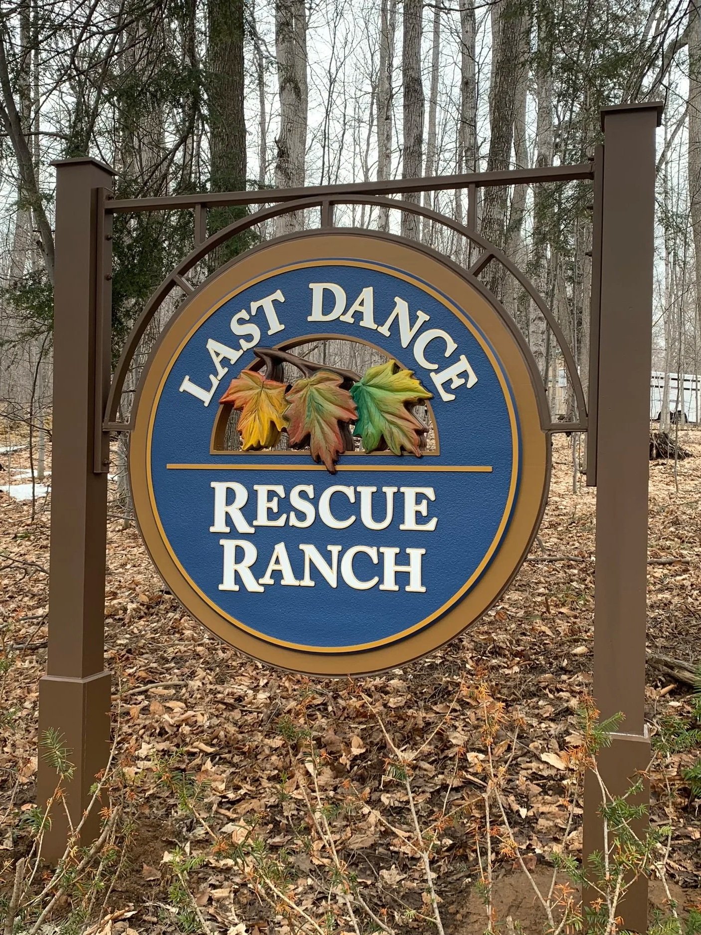 Last+Dance+Rescue+Ranch+Finished+2.jpg