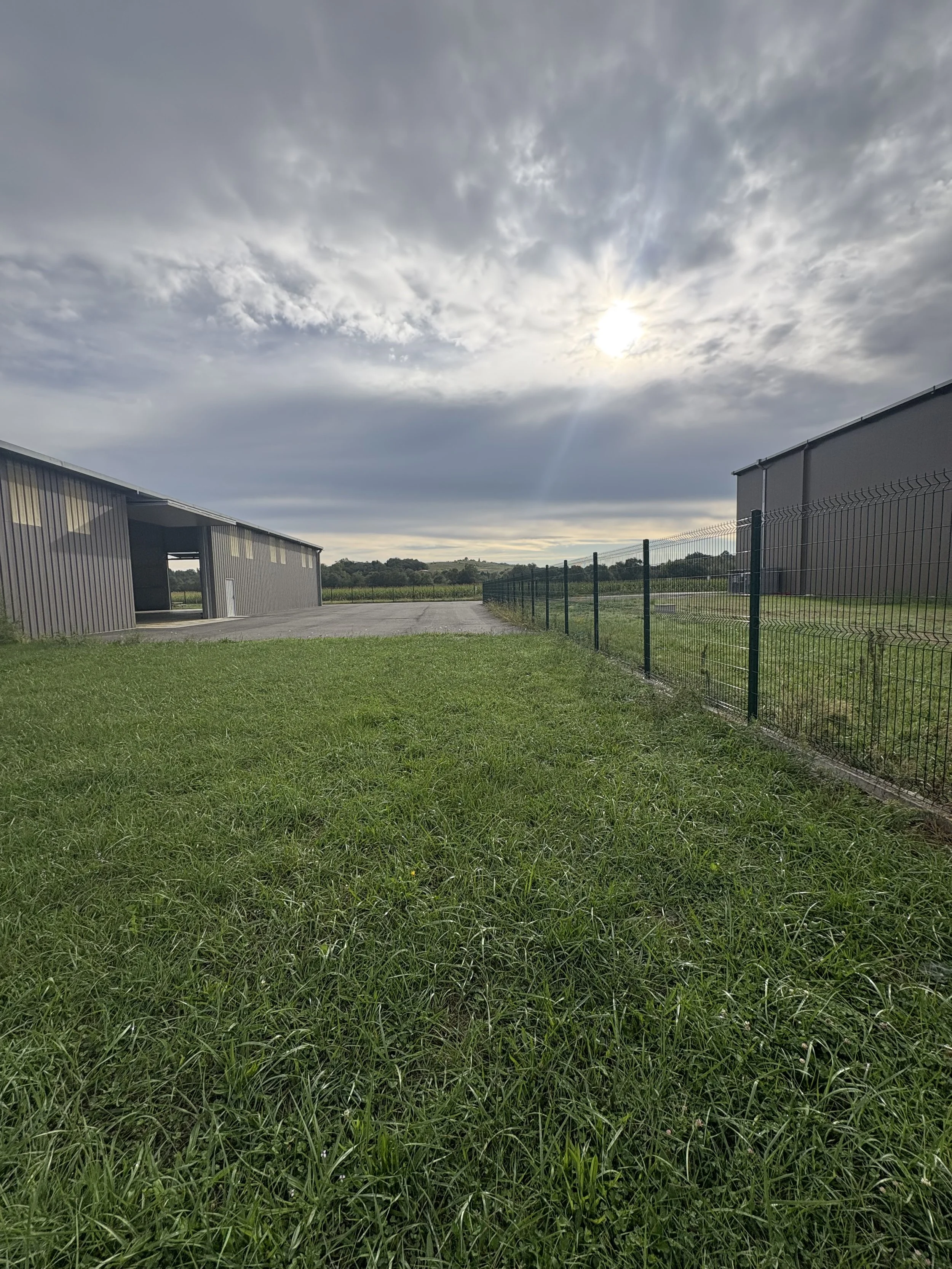 Green grassy field with two large industrial gray metal buildings and a wire fence, under an overcast sky with the sun partially visible.