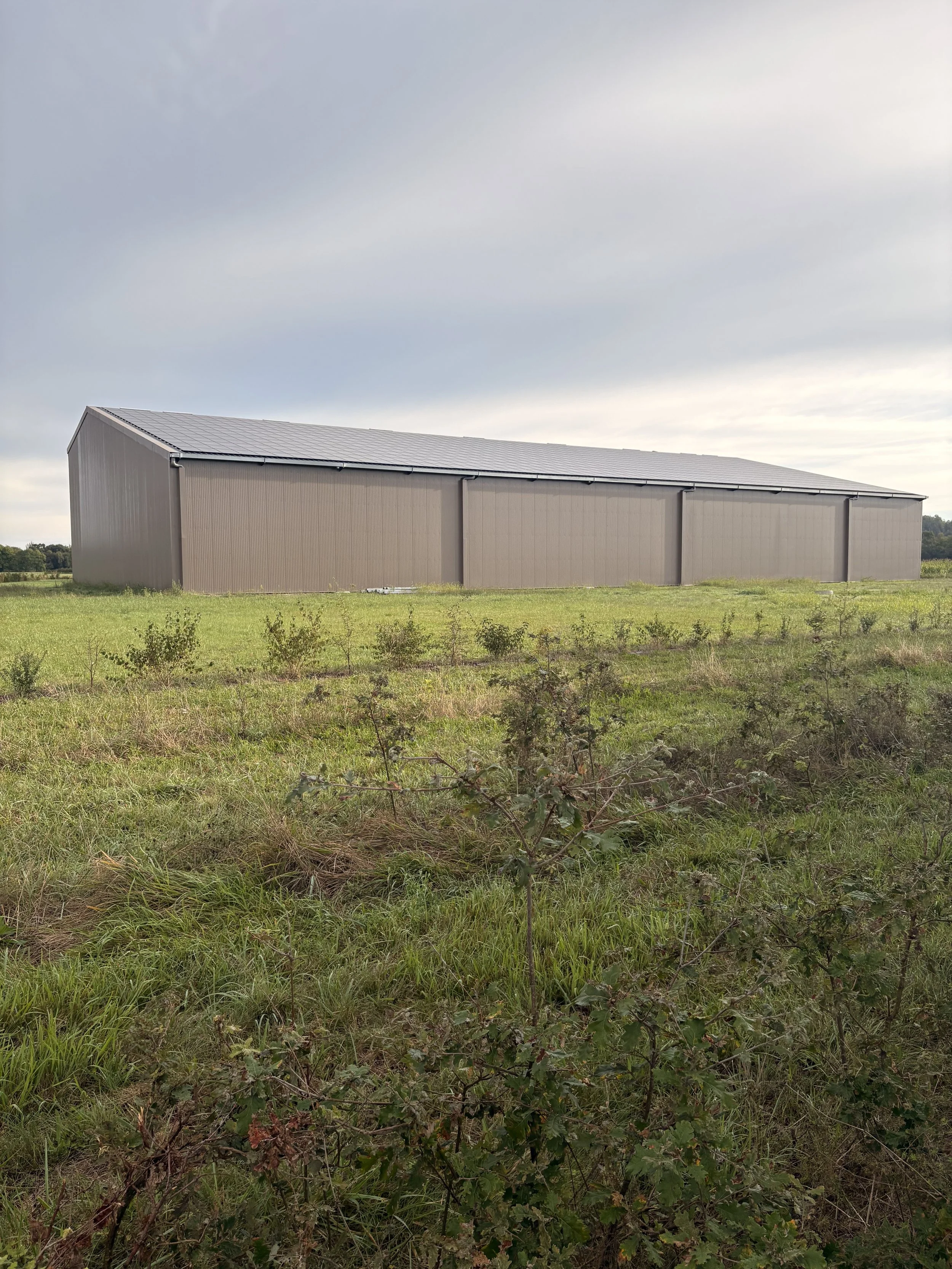 Large gray metal barn with a sloped roof in a grassy field with small scrubby bushes, under a cloudy sky.