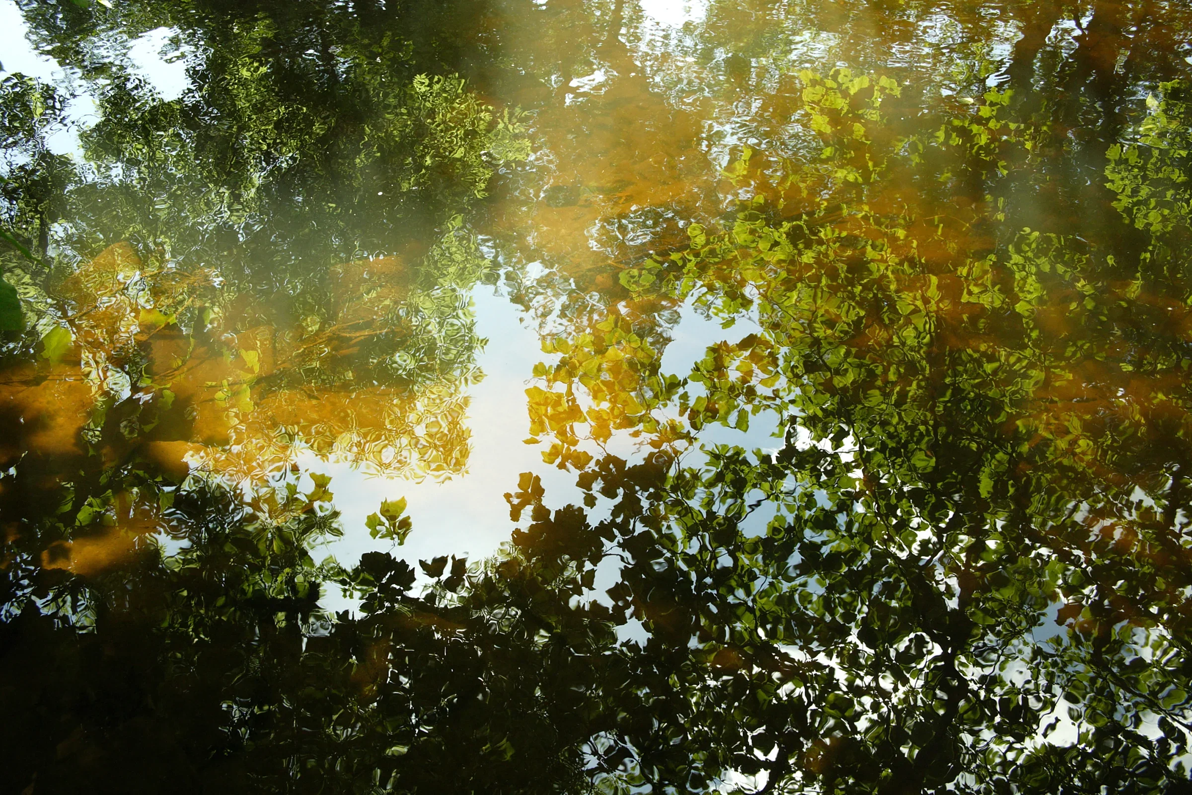 Stream by David Burton Photography