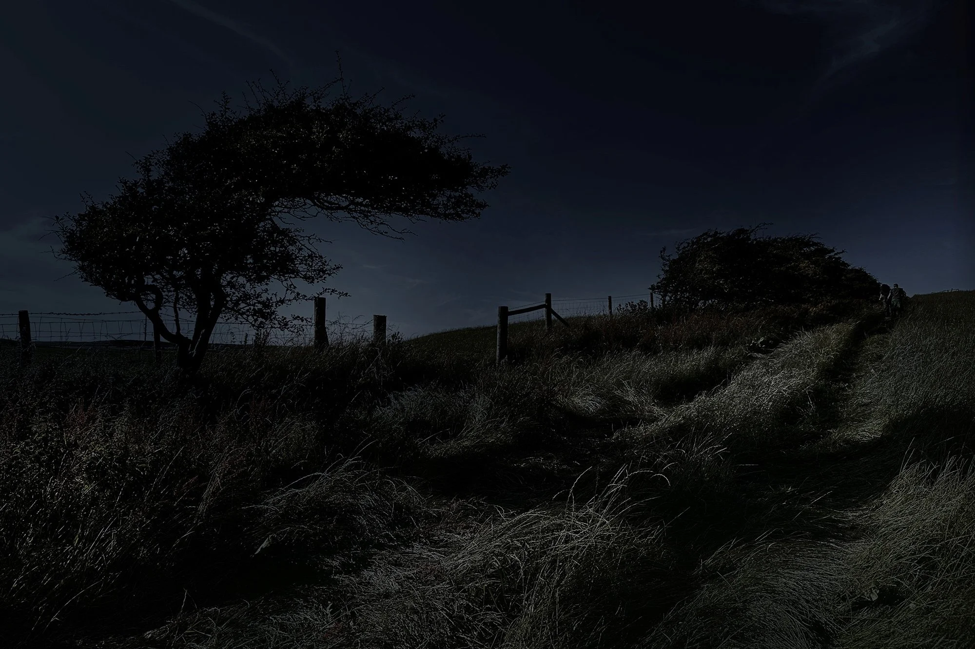 Monnlit field by David Burton Photography