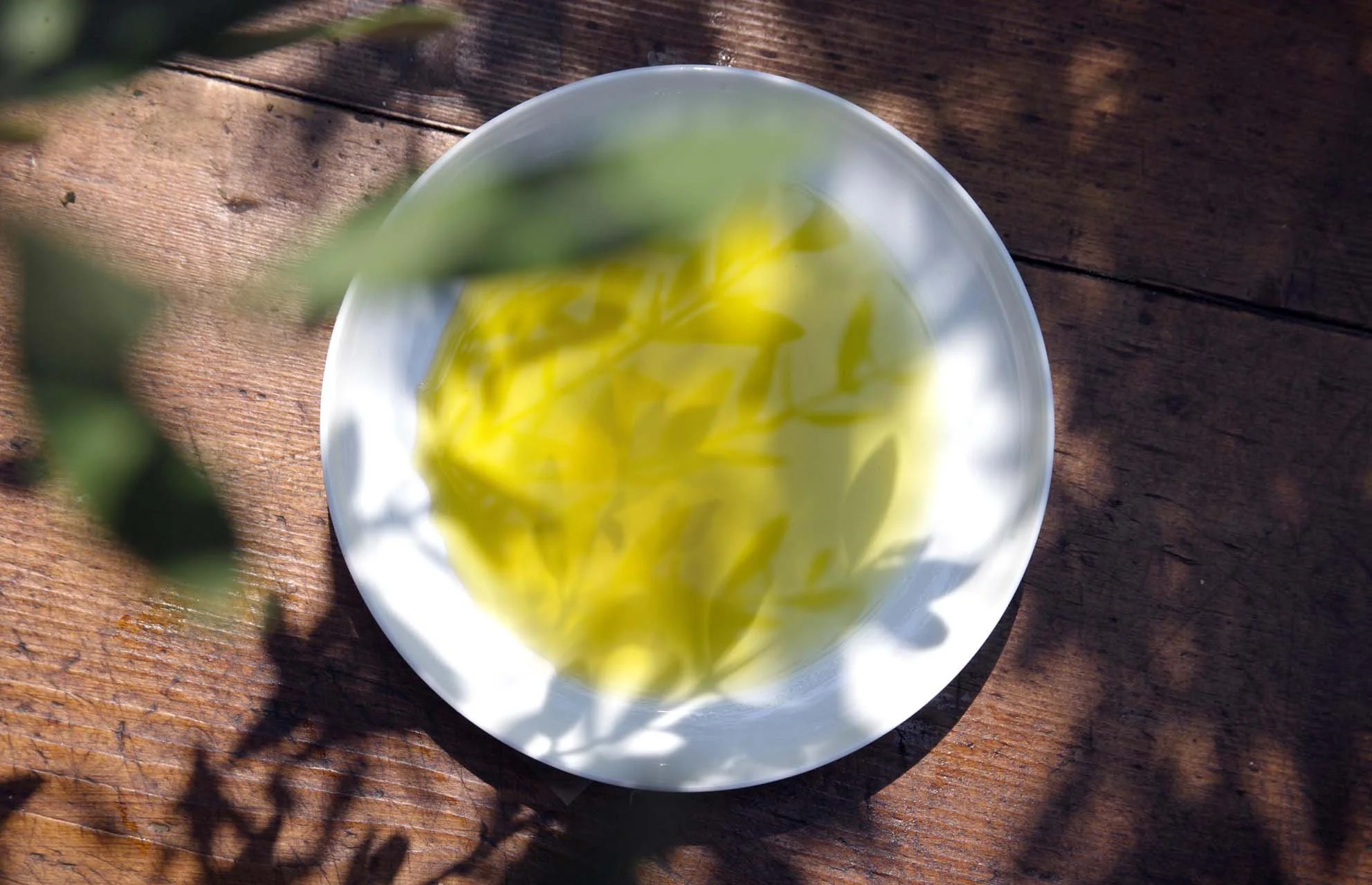 tuscan olive oil by David Burton Photography