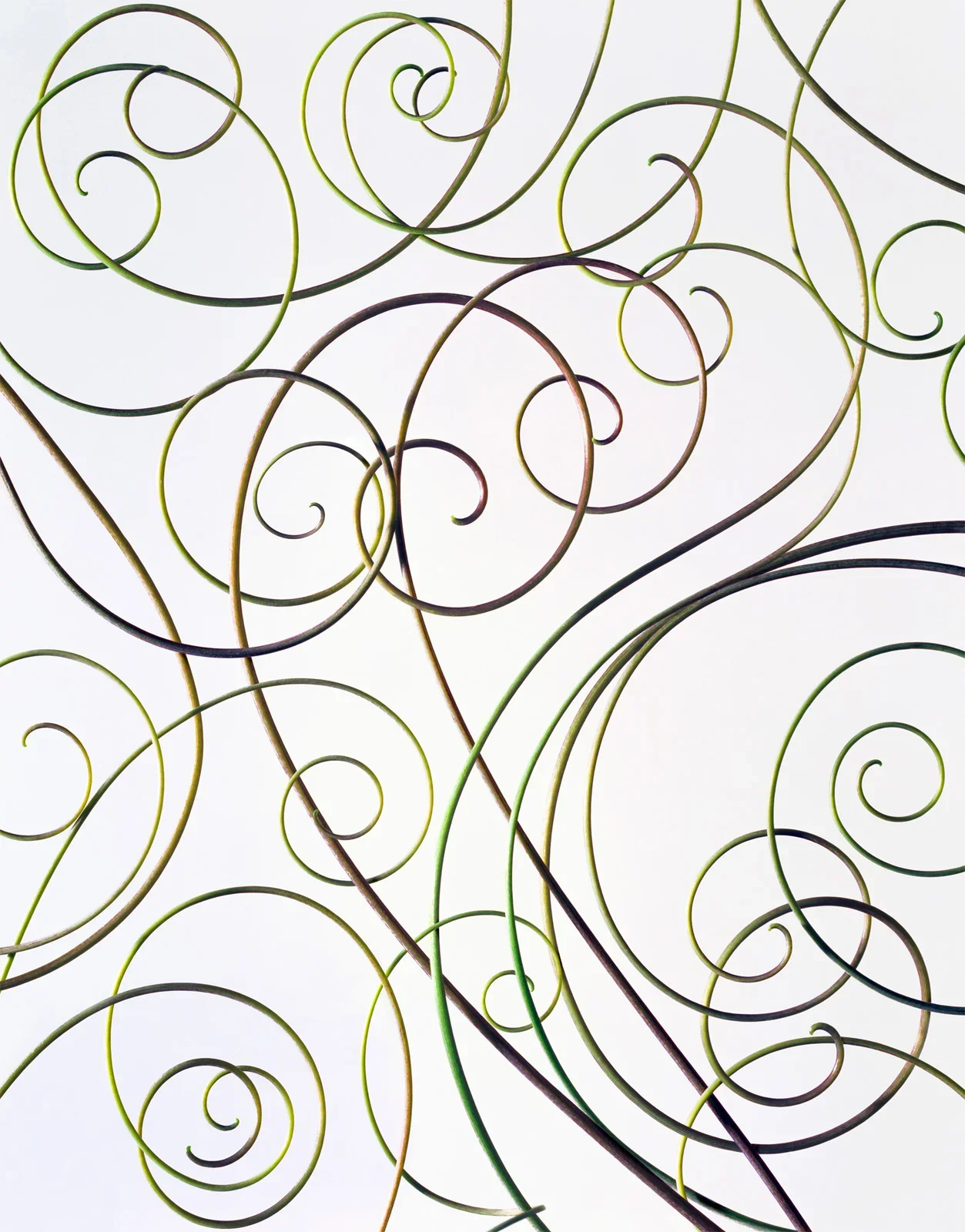 Creepers by David Burton Photography