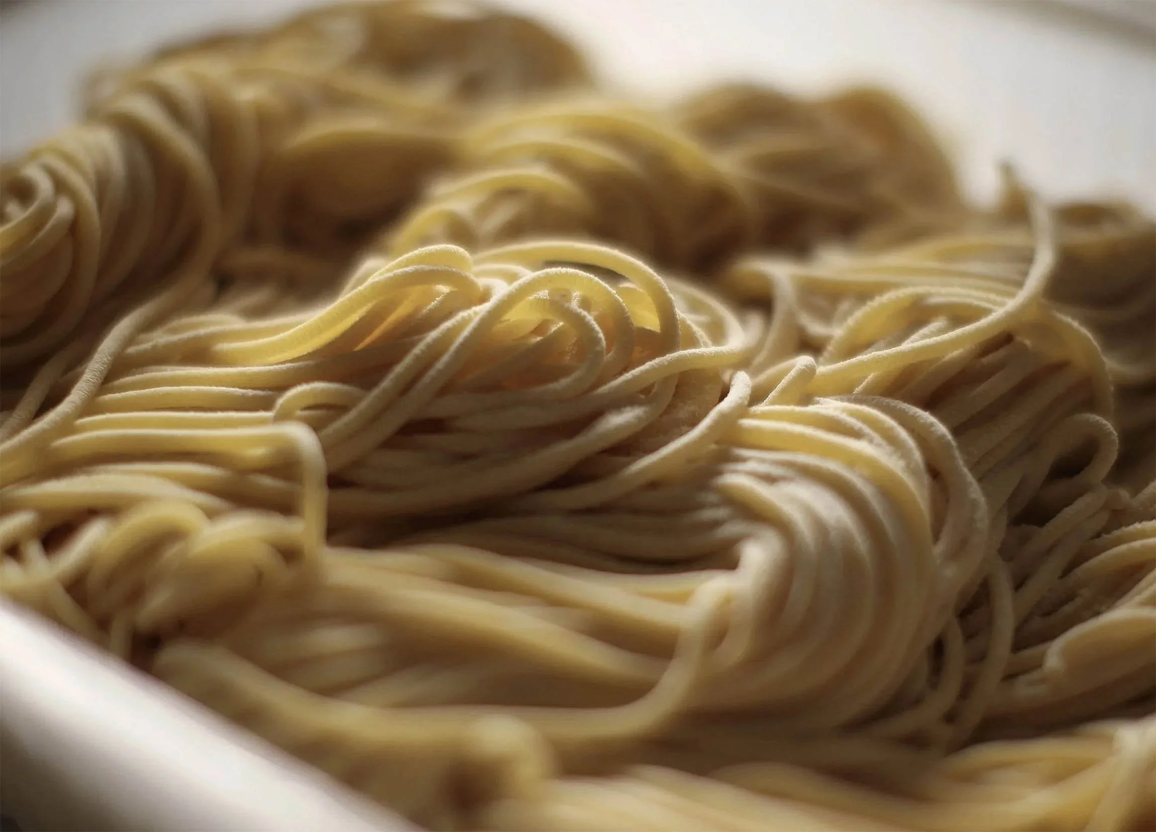 Vermicelli photographed by David Burton Photography