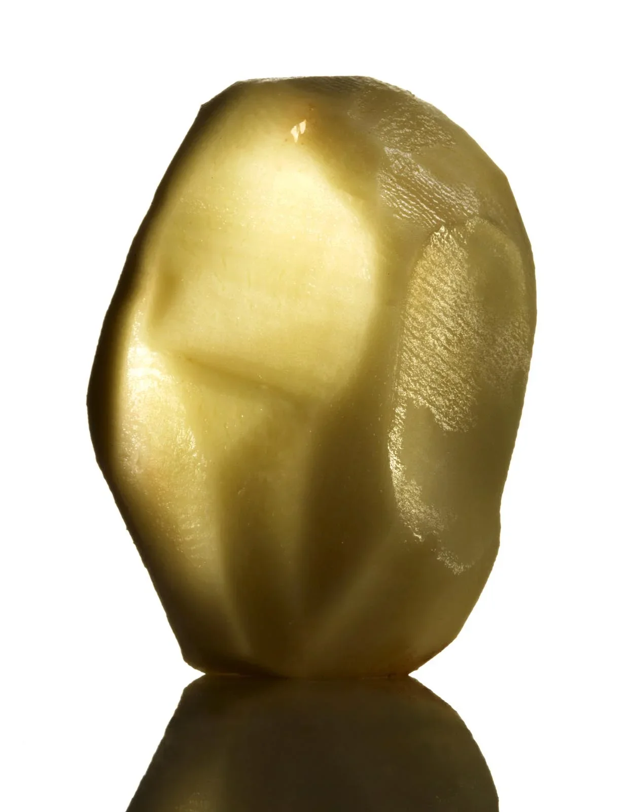 Goldenspud by David Burton Photography