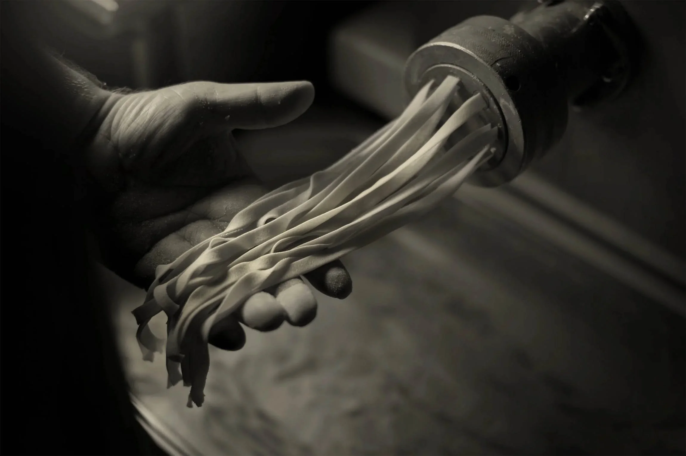 Vermicelli restaurant fresh pasta b&w image by David Burton Photography