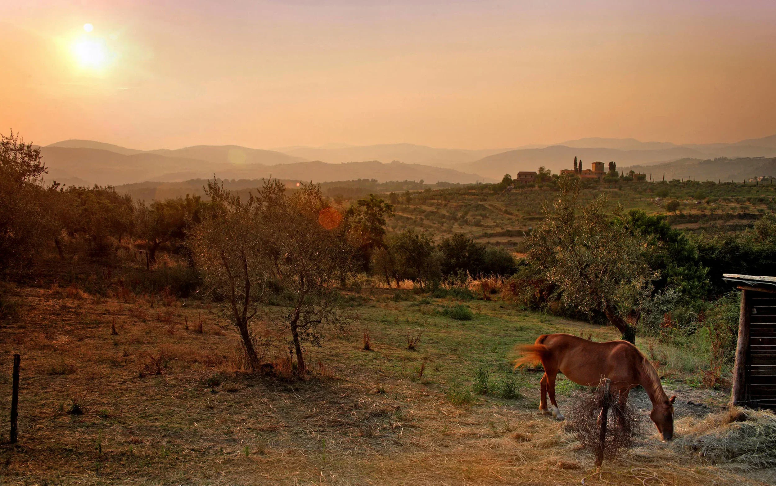 View across Tuscan Landscape with horse