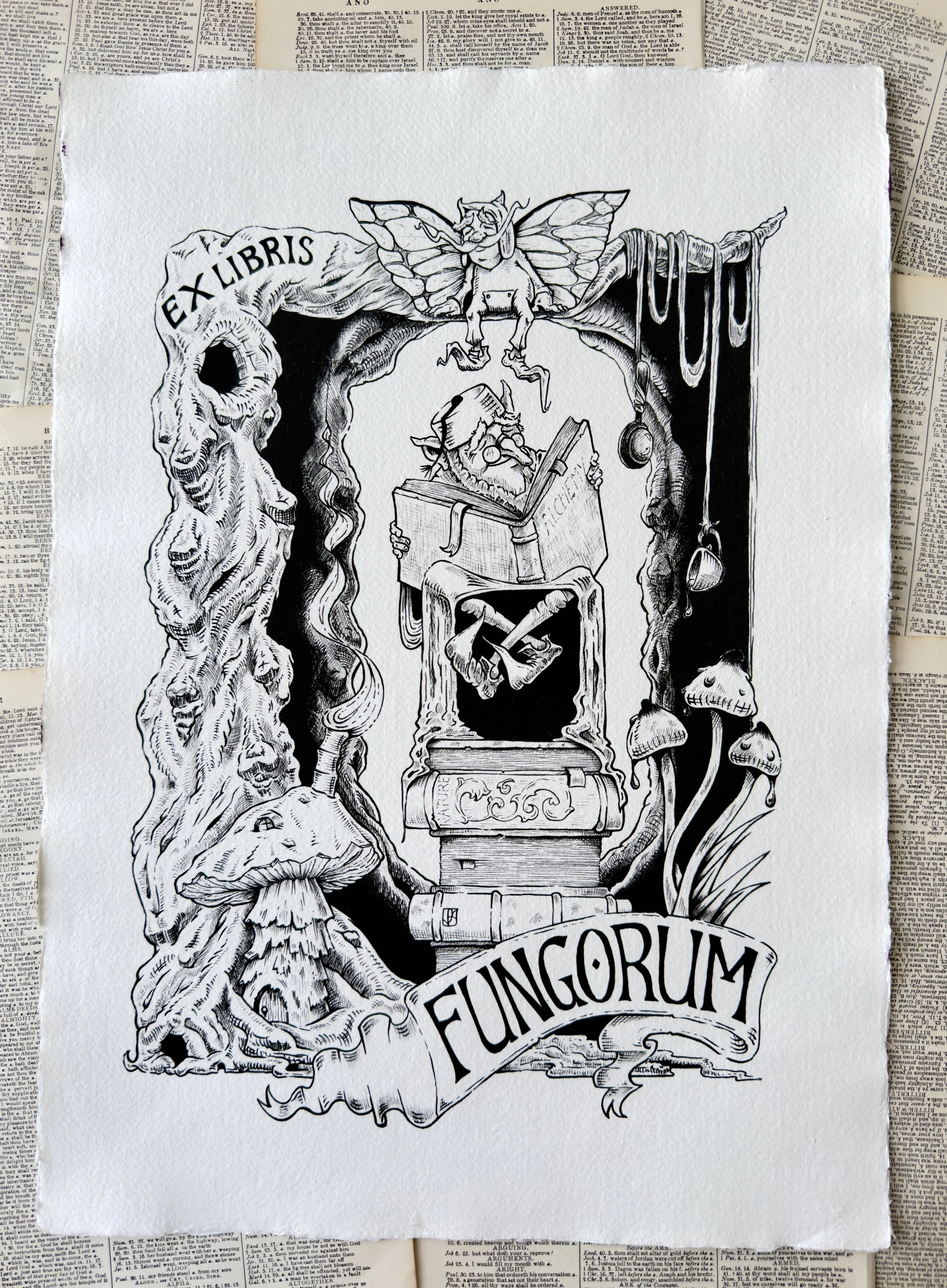 Ex Libris Fungorum Giclée Print size A3