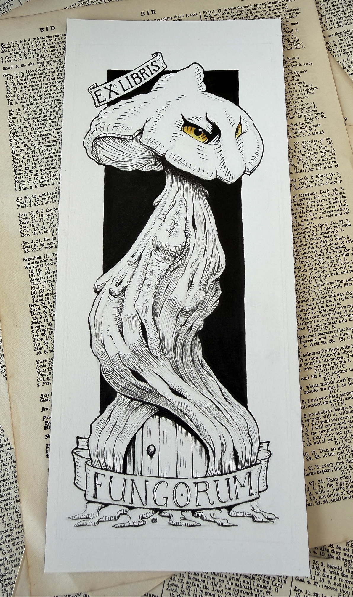 Ex Libris Fungorum I small original