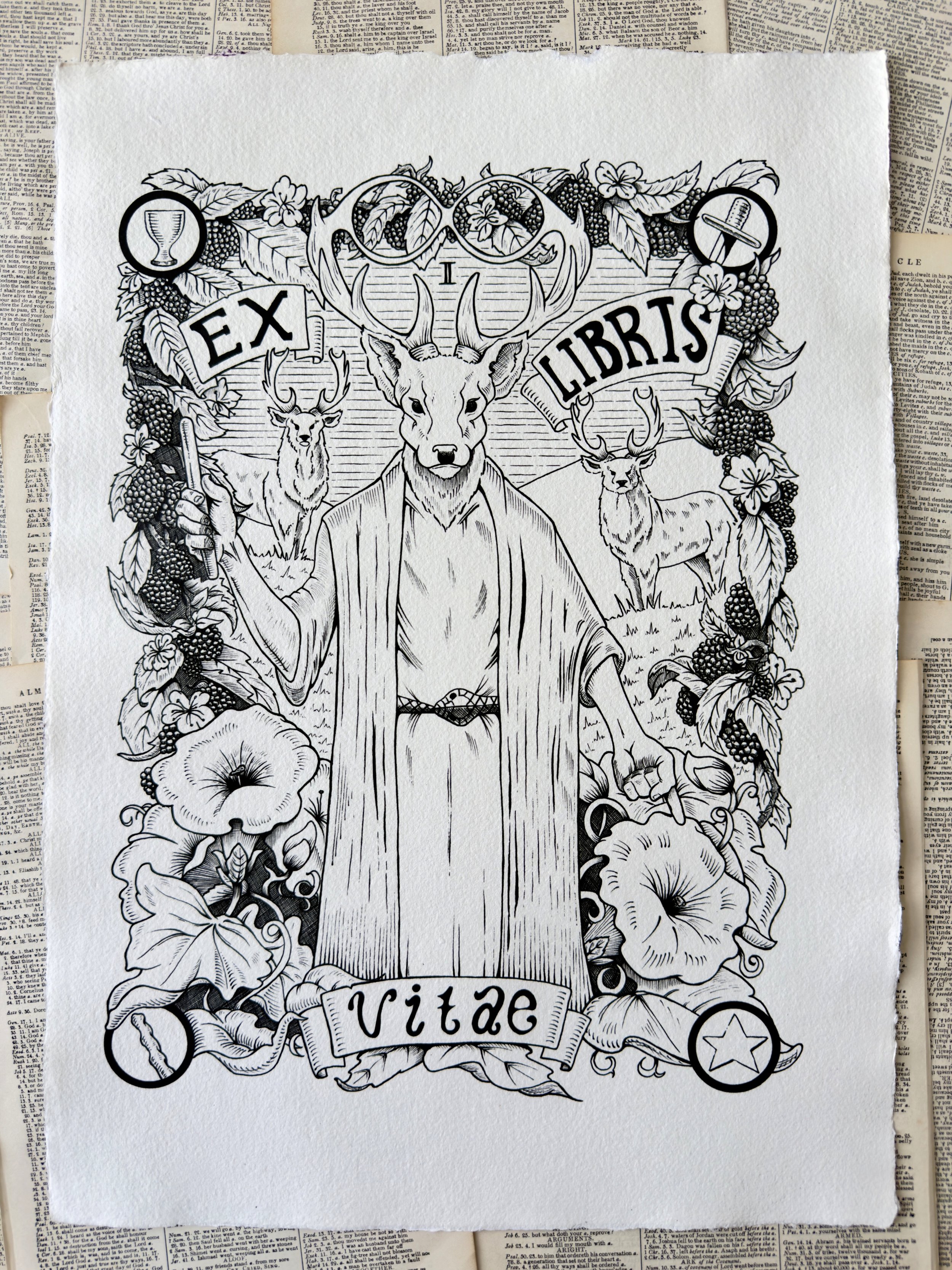 Ex Libris Vitae Giclée Print size A3